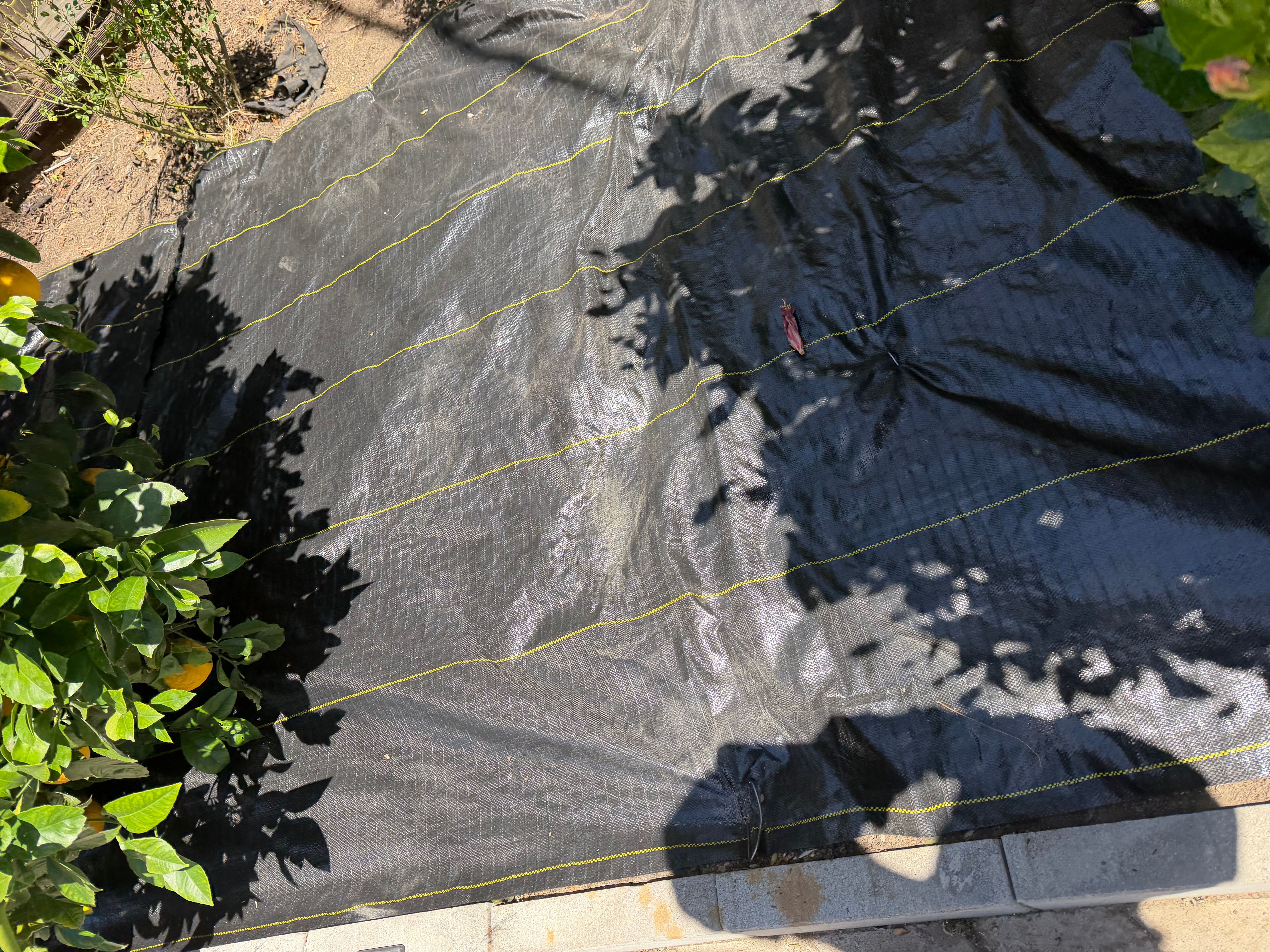  for CBA Landscaping in Hayward, CA
