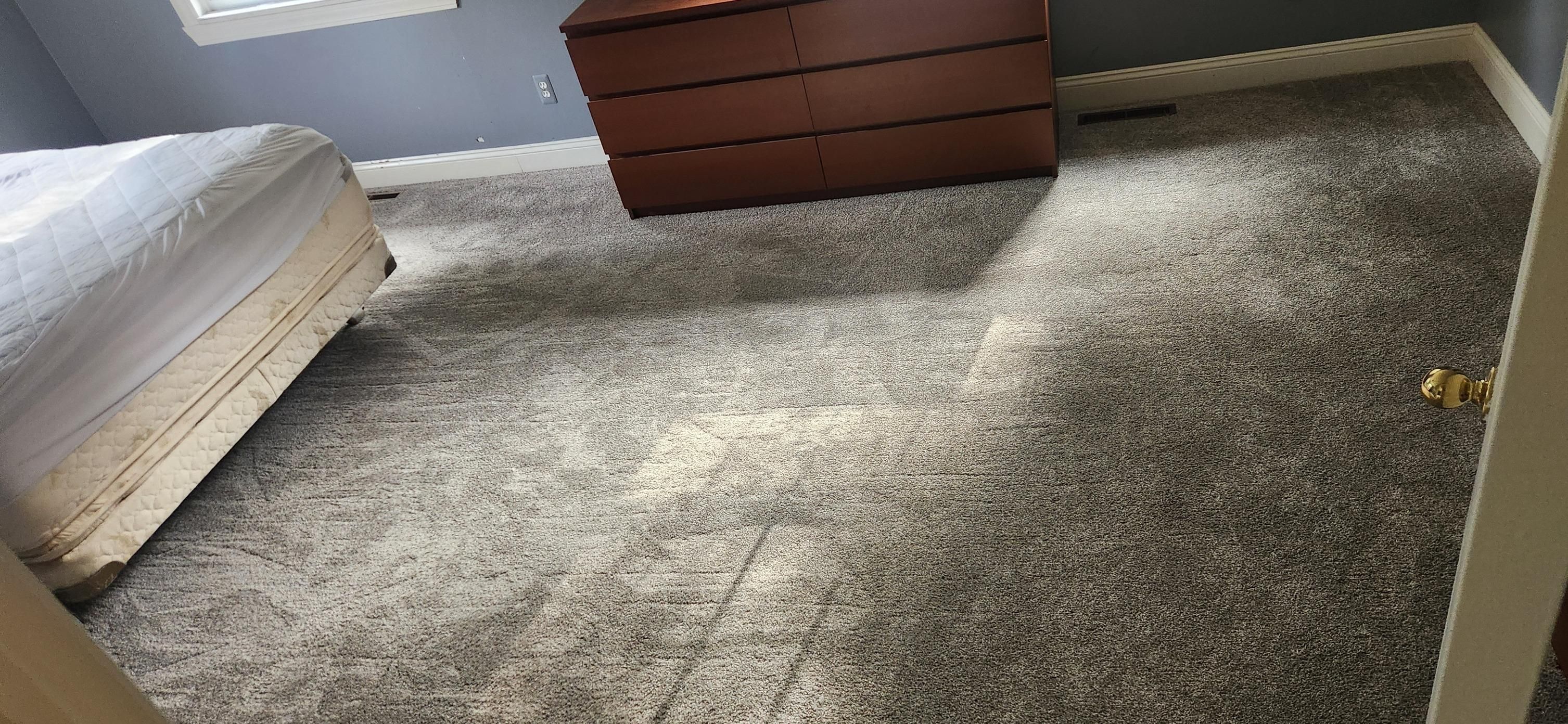  for Cut a Rug Flooring in Lake Orion, MI