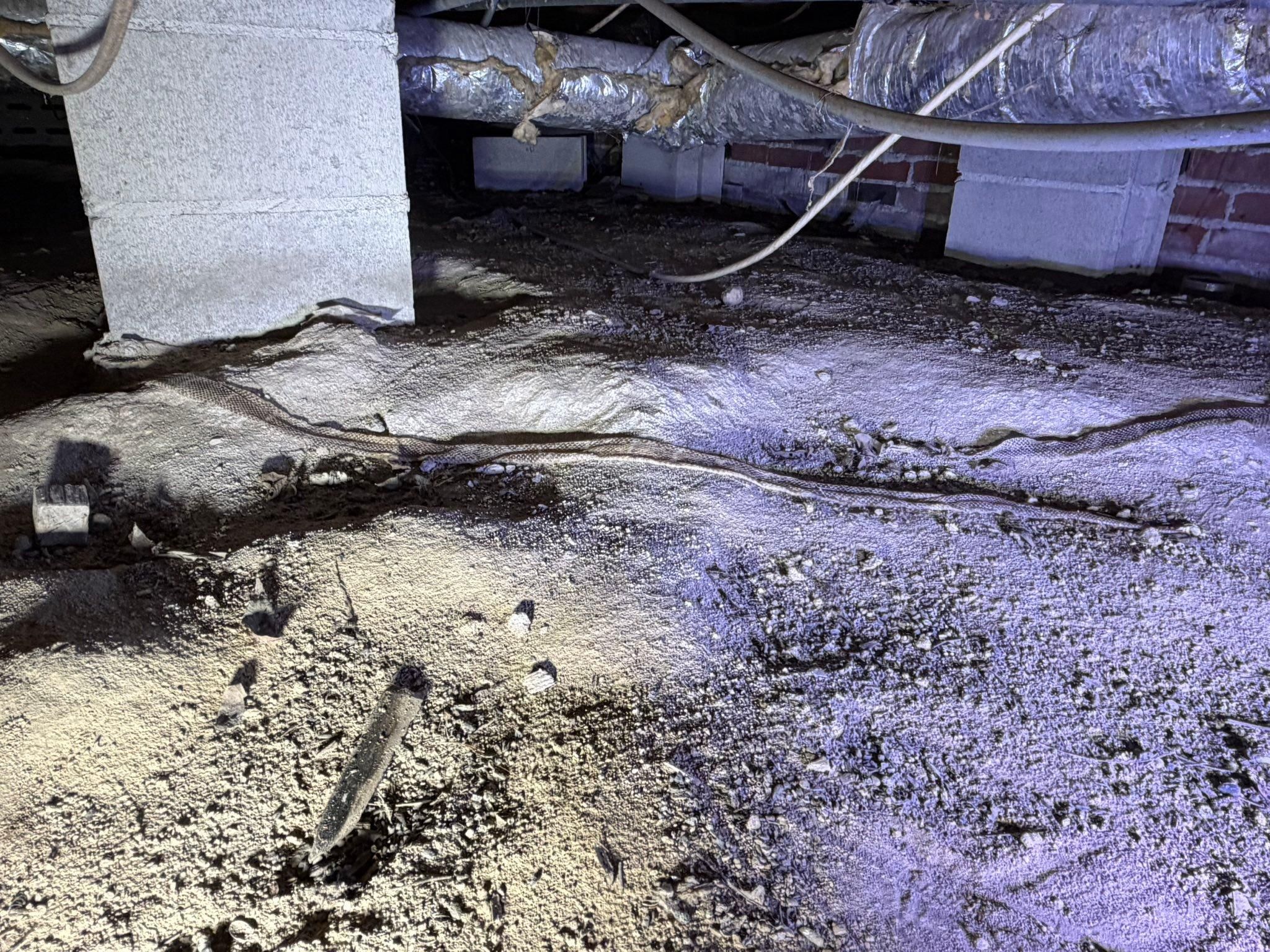  for VIP Plumbing in Cannon, GA