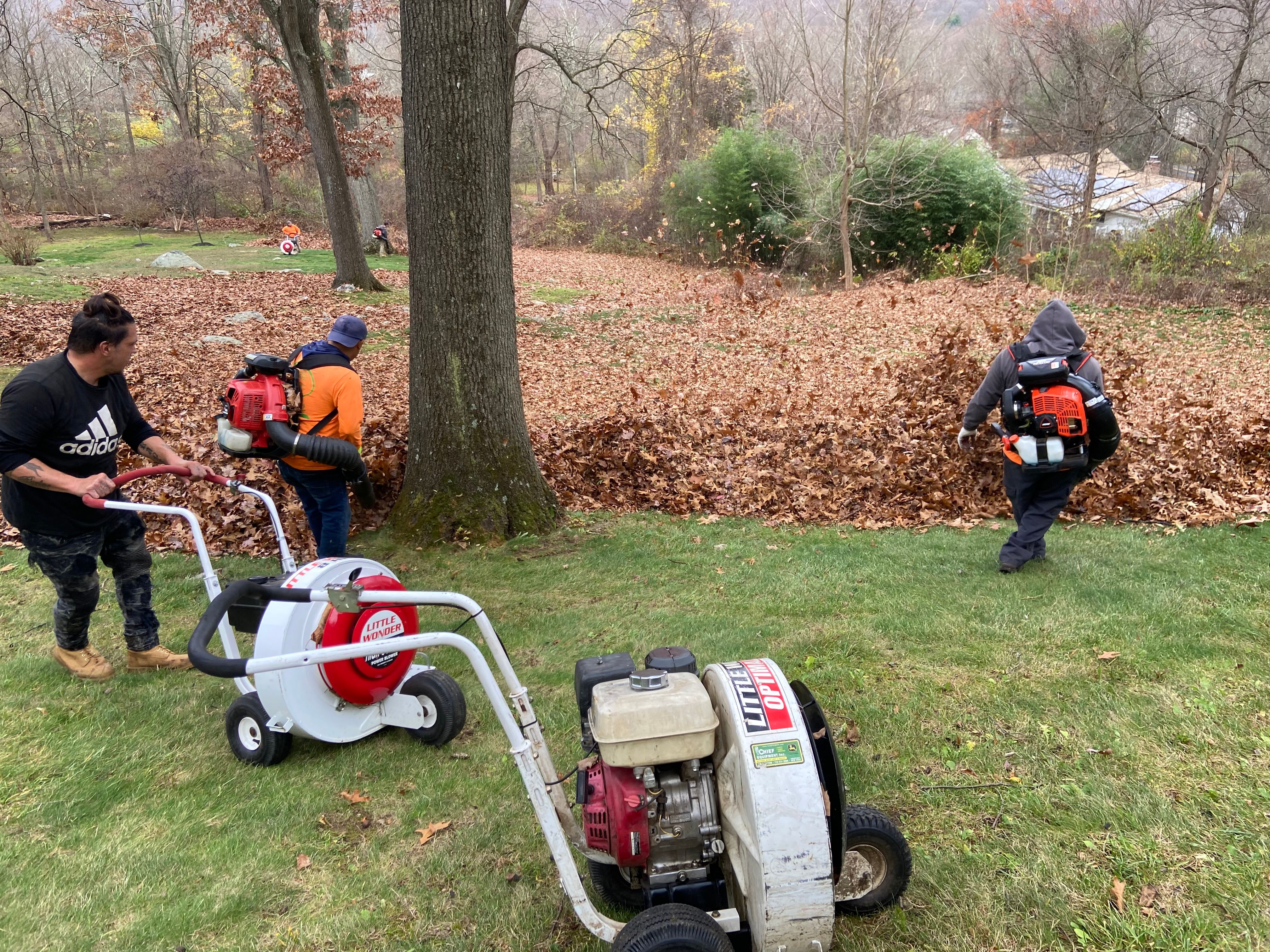  for Zaldivar’s Lawn Care INC  in Peekskill, NY