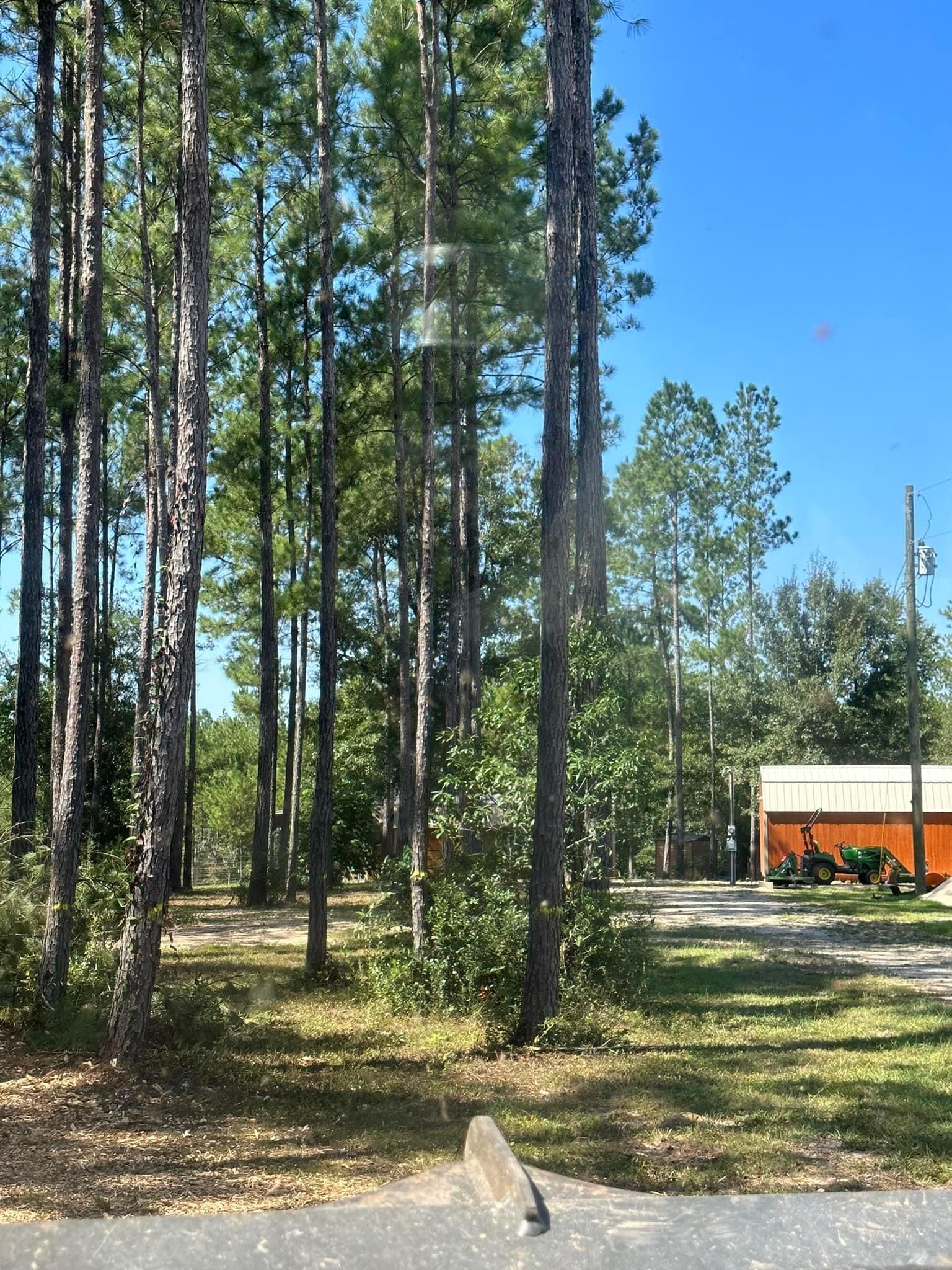  for White’s Land Maintenance in Milton,, FL