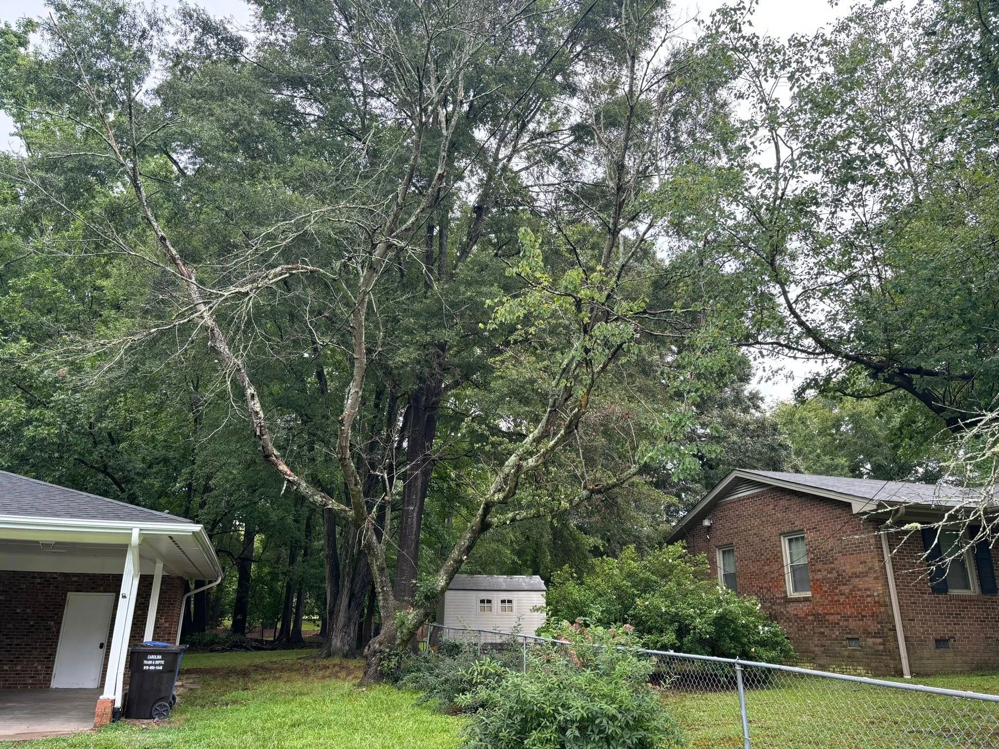  for Total Tree Care in Erwin, North Carolina