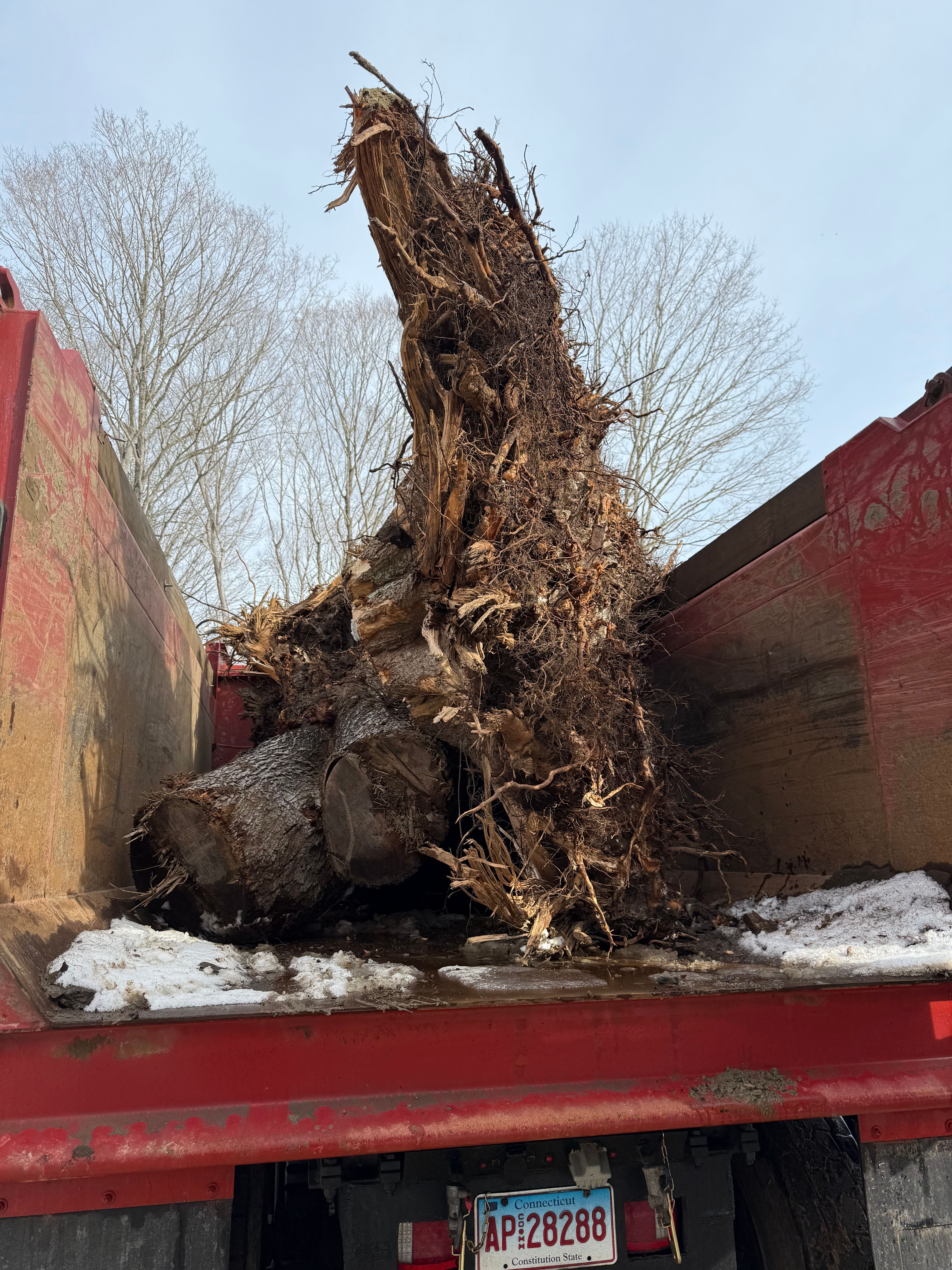 All Photos for DArcy  Cleveland & Sons Excavation LLC in Pawcatuck, CT