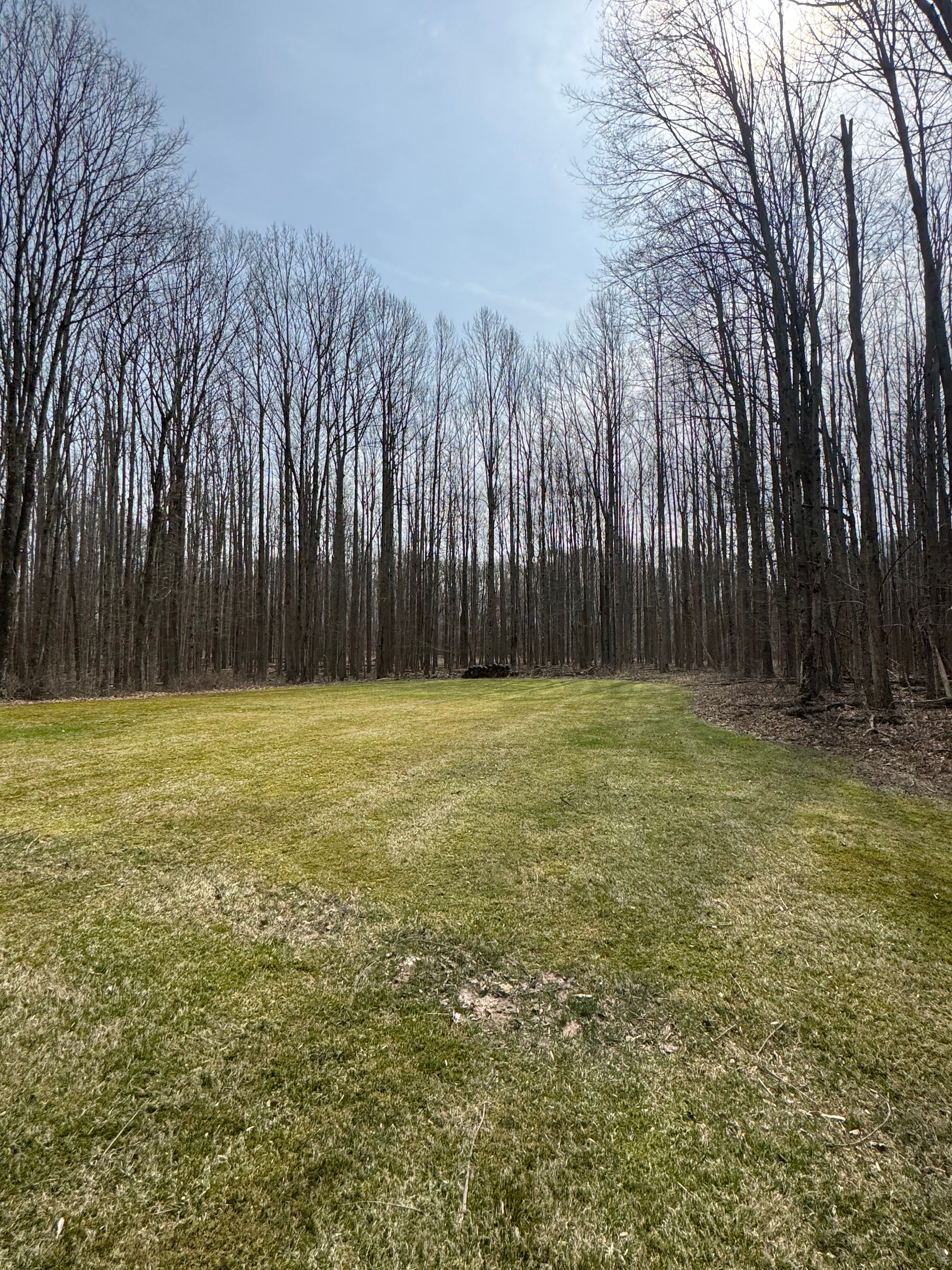  for McKenzie's Landscaping LLC in Shelby, OH