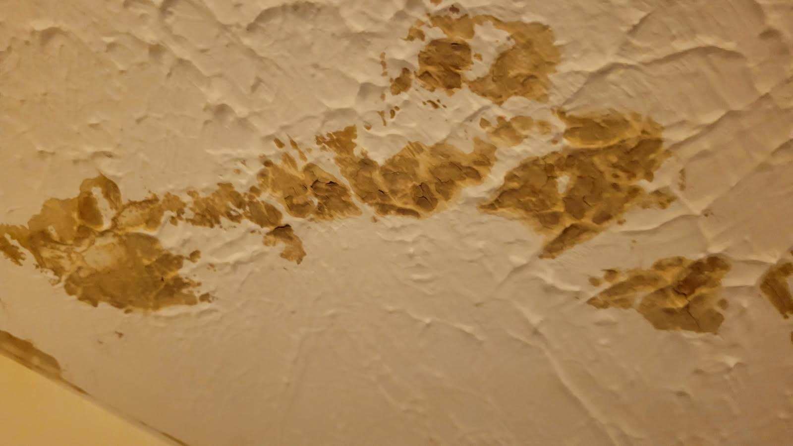  for Prestige Landscaping & Lawn Services LLC in Anderson, IN