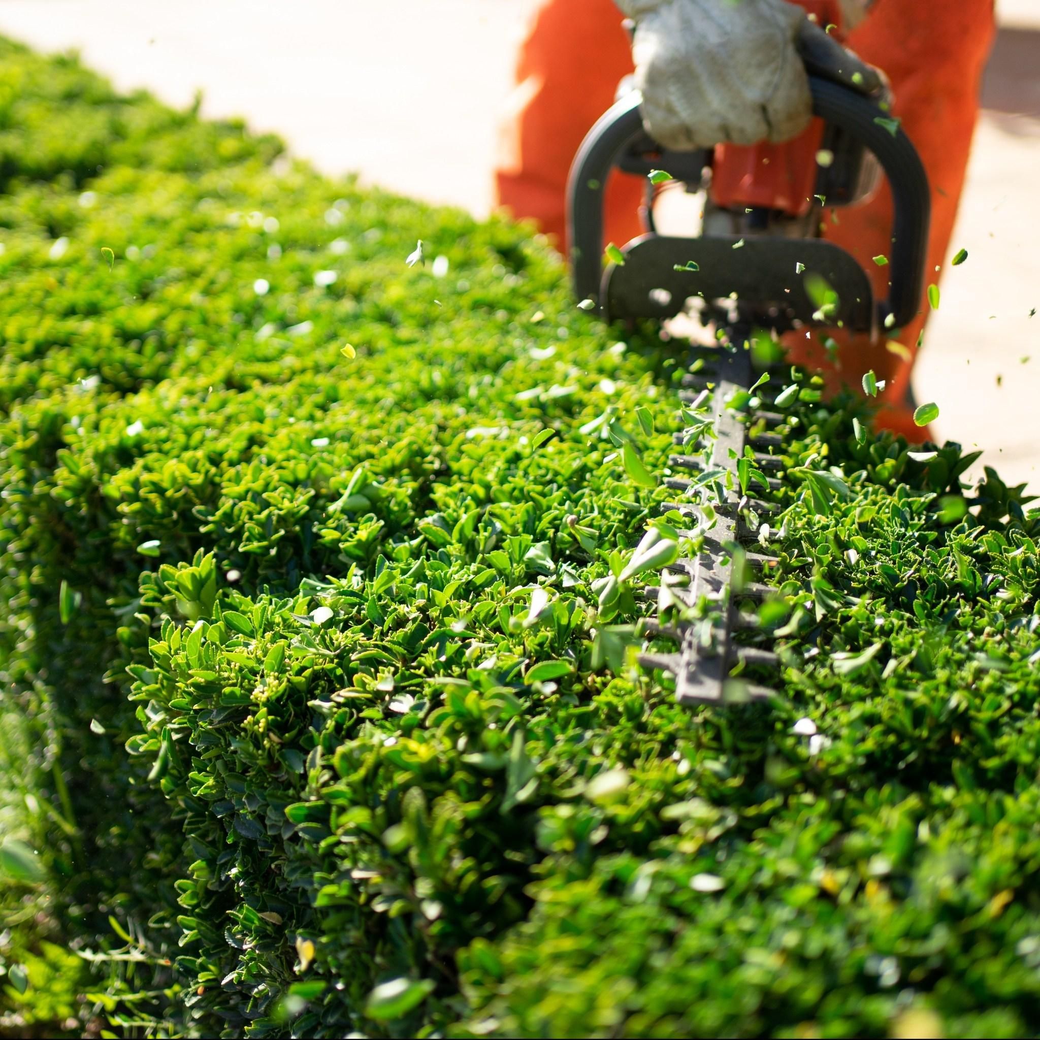  for TopNotch Landscaping Services  in The Villages, FL