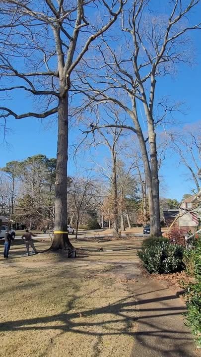  for Integrity Tree and Landscaping in Lynchburg, VA