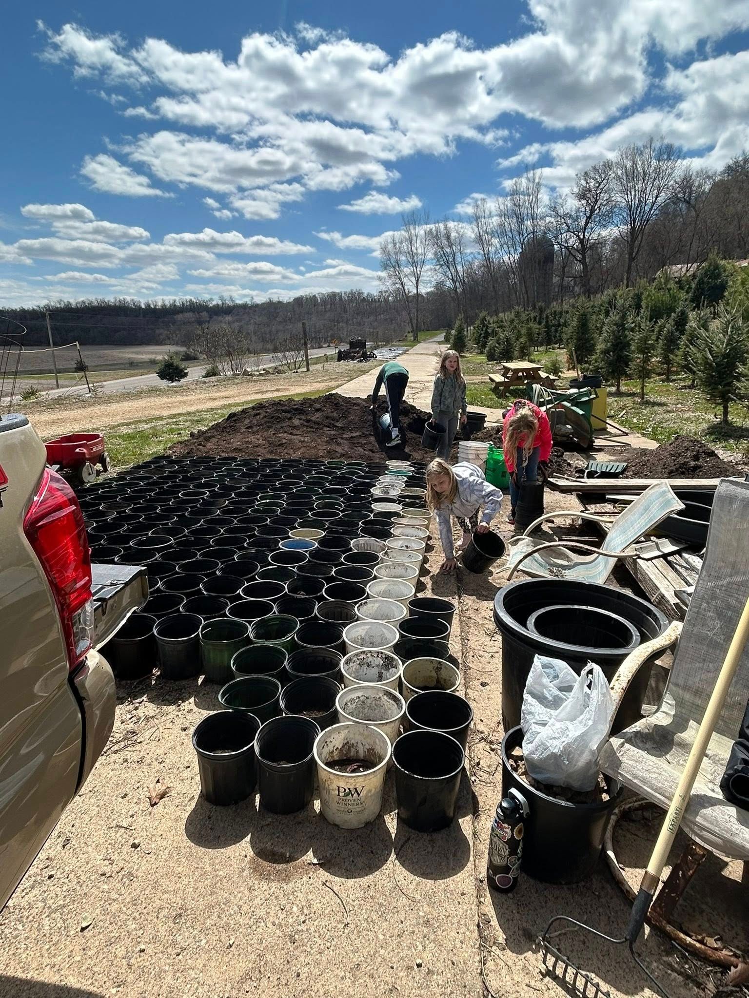  for Spring Creek Evergreens in Red Wing, MN