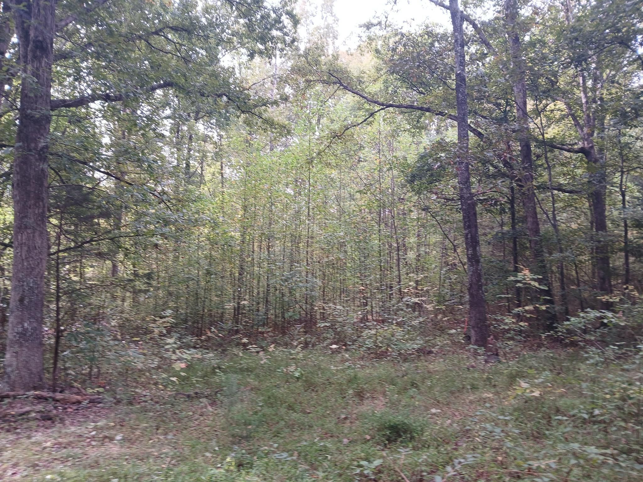  for Whiskey Ridge Mulching & Land Services in South Boston, VA
