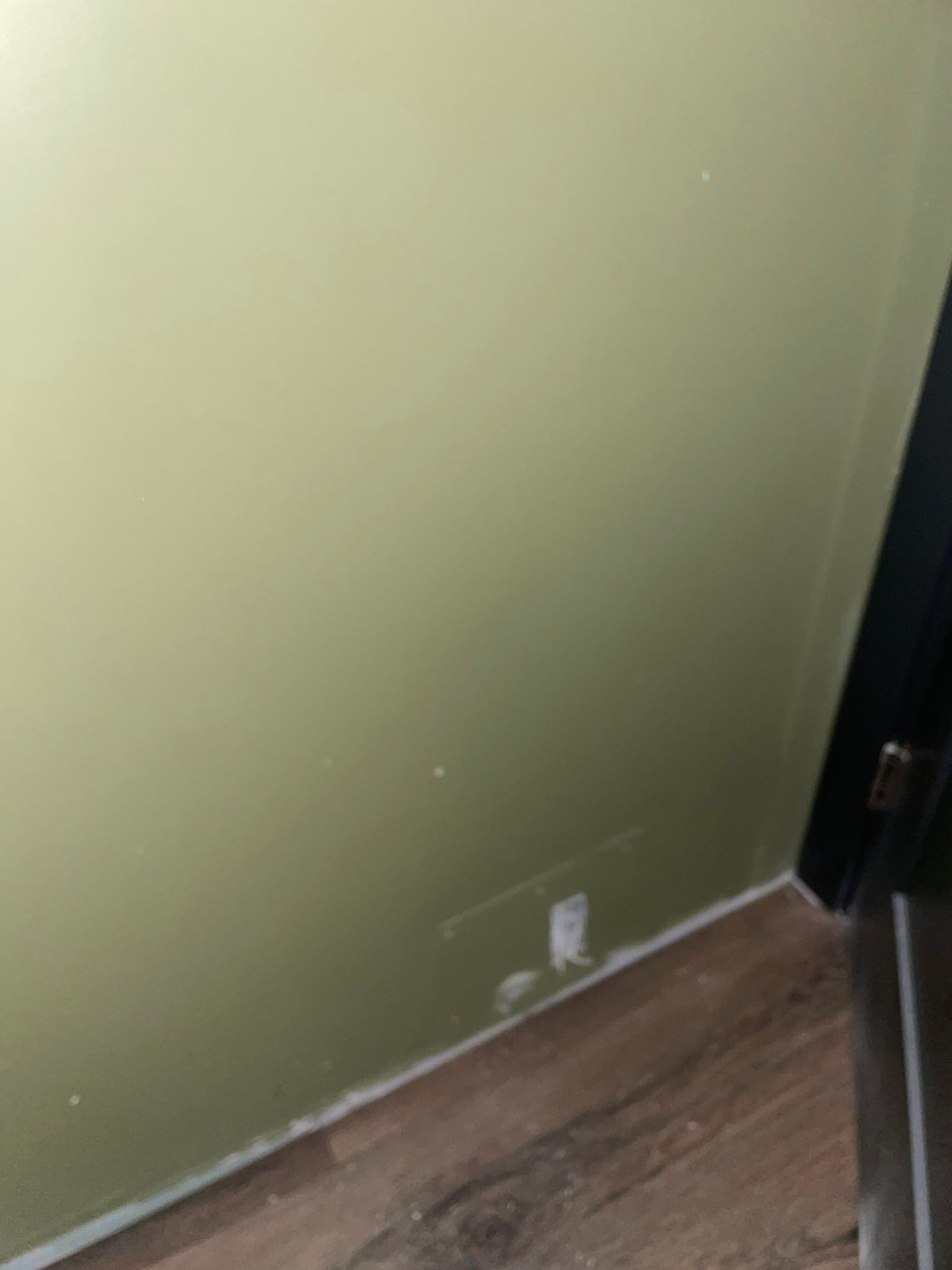  for Tony's Remodeling & Painting in Renton, WA