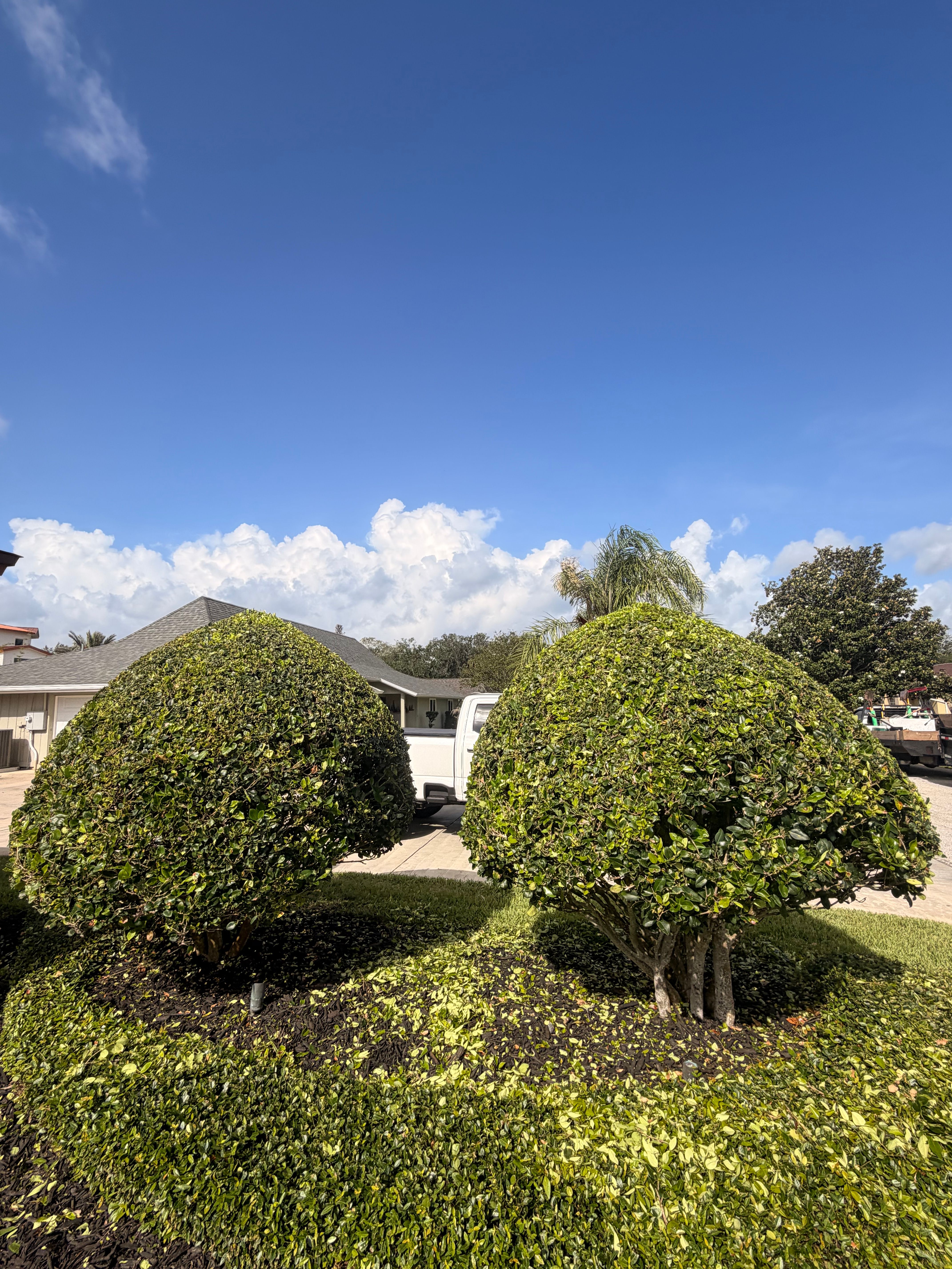  for Vanic's Landscaping in Port Orange, FL