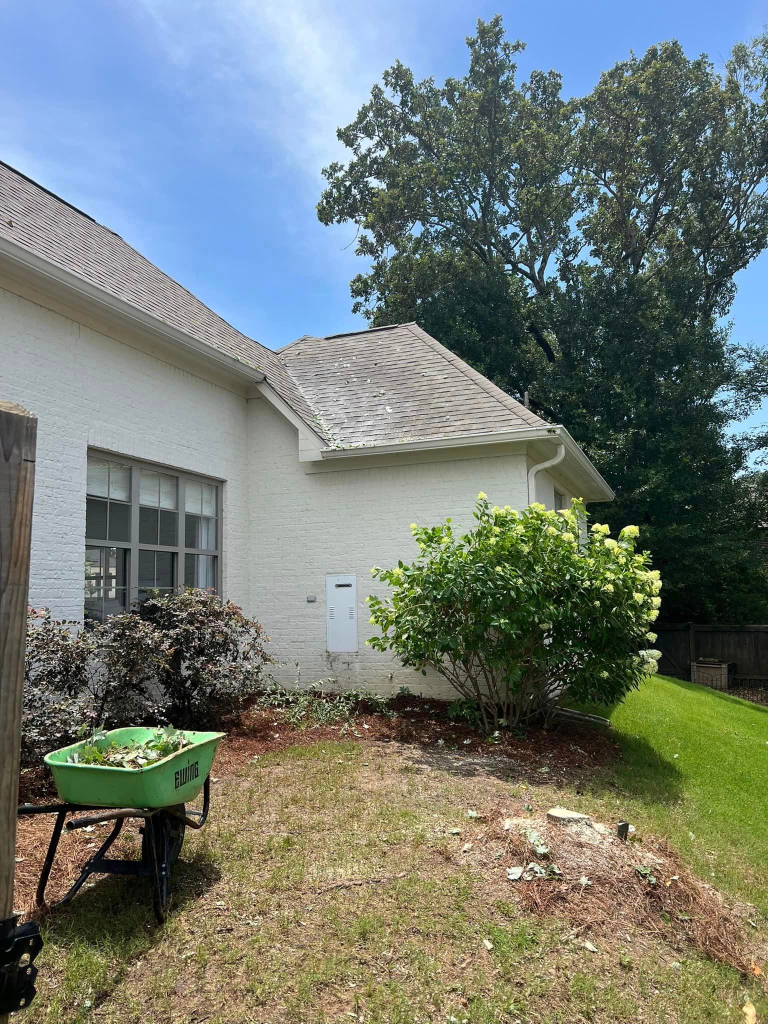 for Amis Lawn and Landscape, LLC in Clinton, MS