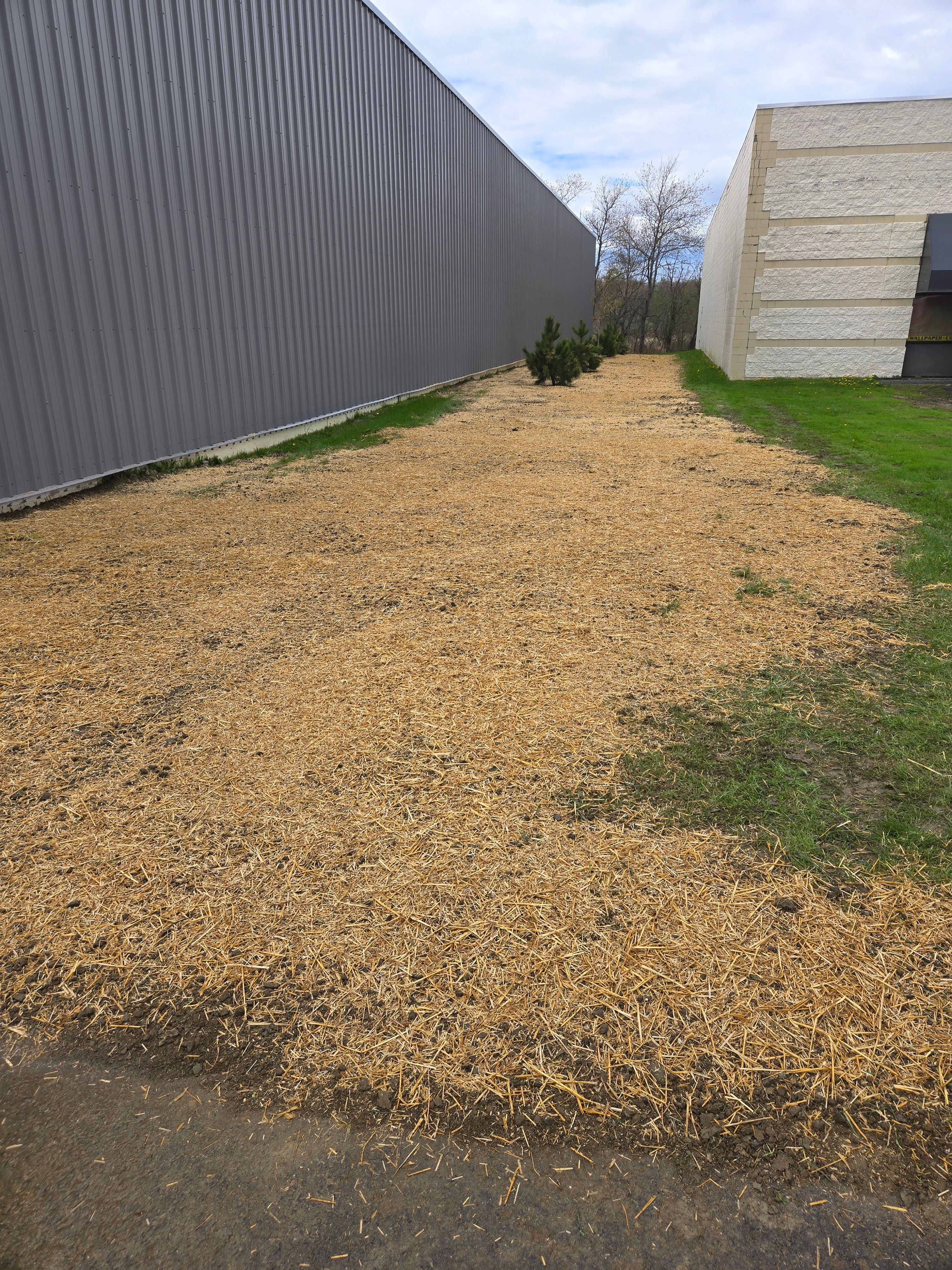 All Photos for Casey's Lawn Service LLC in Orono, ME