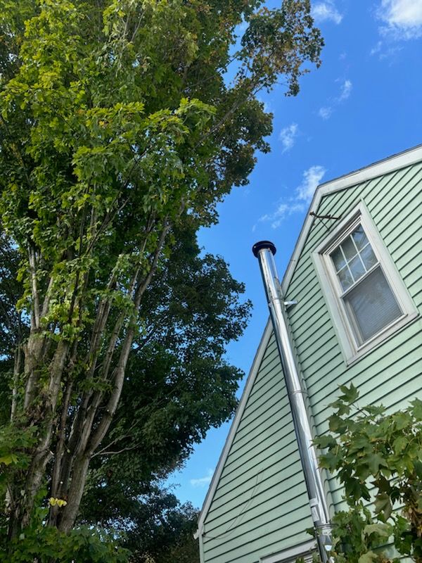  for T's Trees in Albany, NY