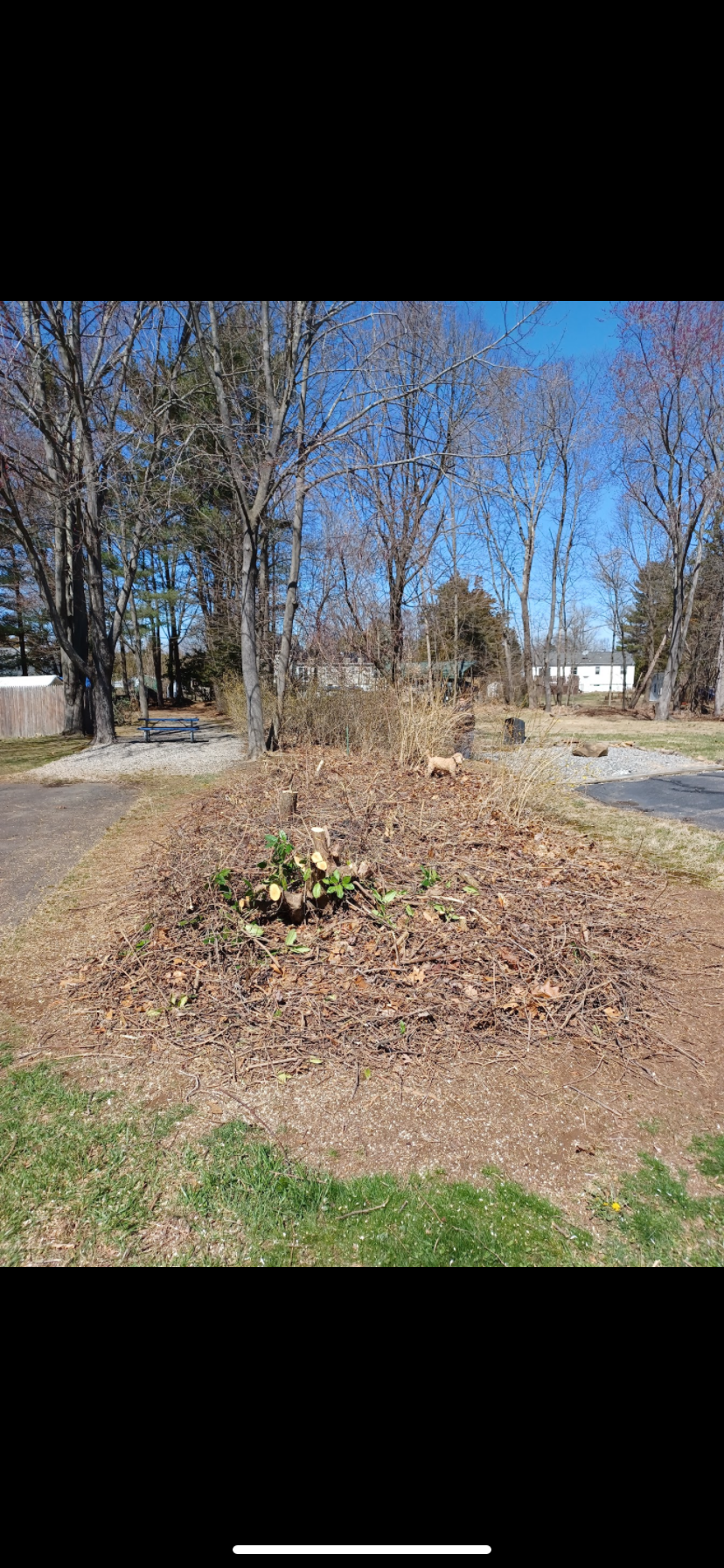  for Stevenson Property Maintenance in Cheshire, CT