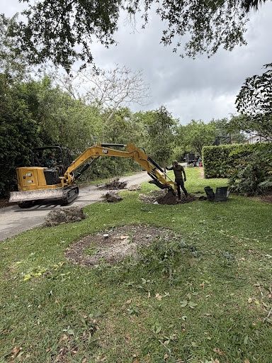  for Nurry Tree Services in Miami, FL