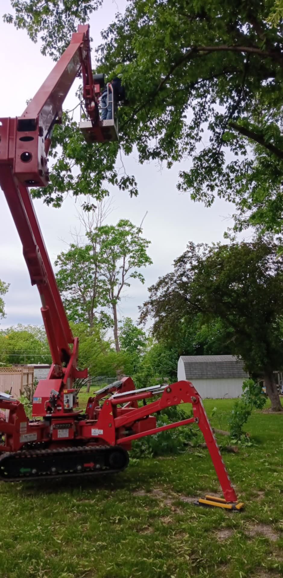  for Lawn Ranger Yard And Tree Service LLC in Ottumwa, IA