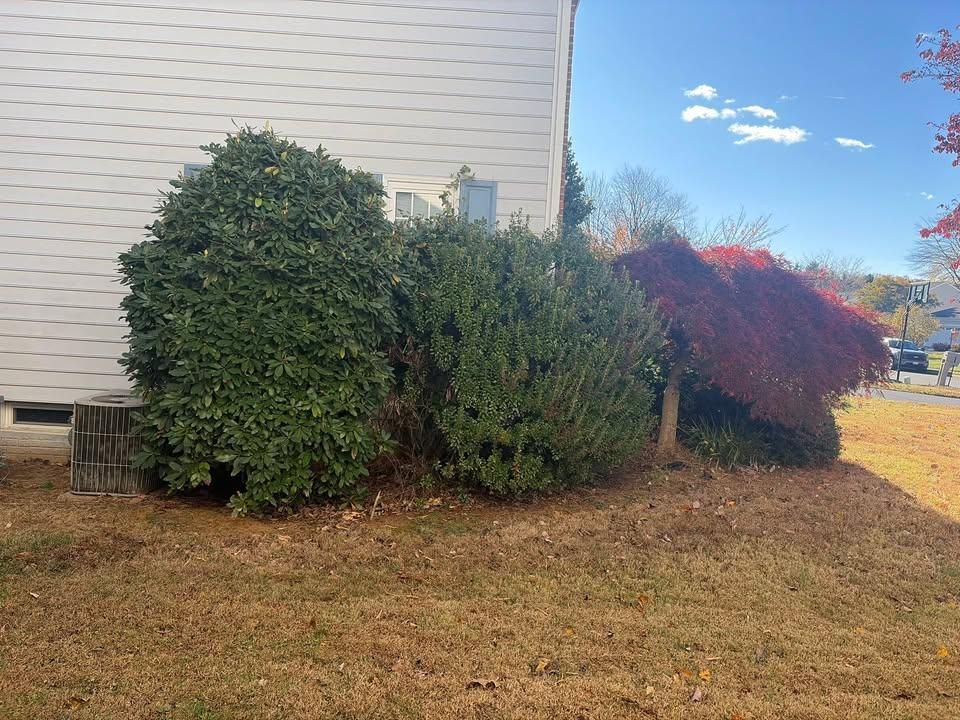  for 9999 Building and Renovation LLC in Warrenton, VA