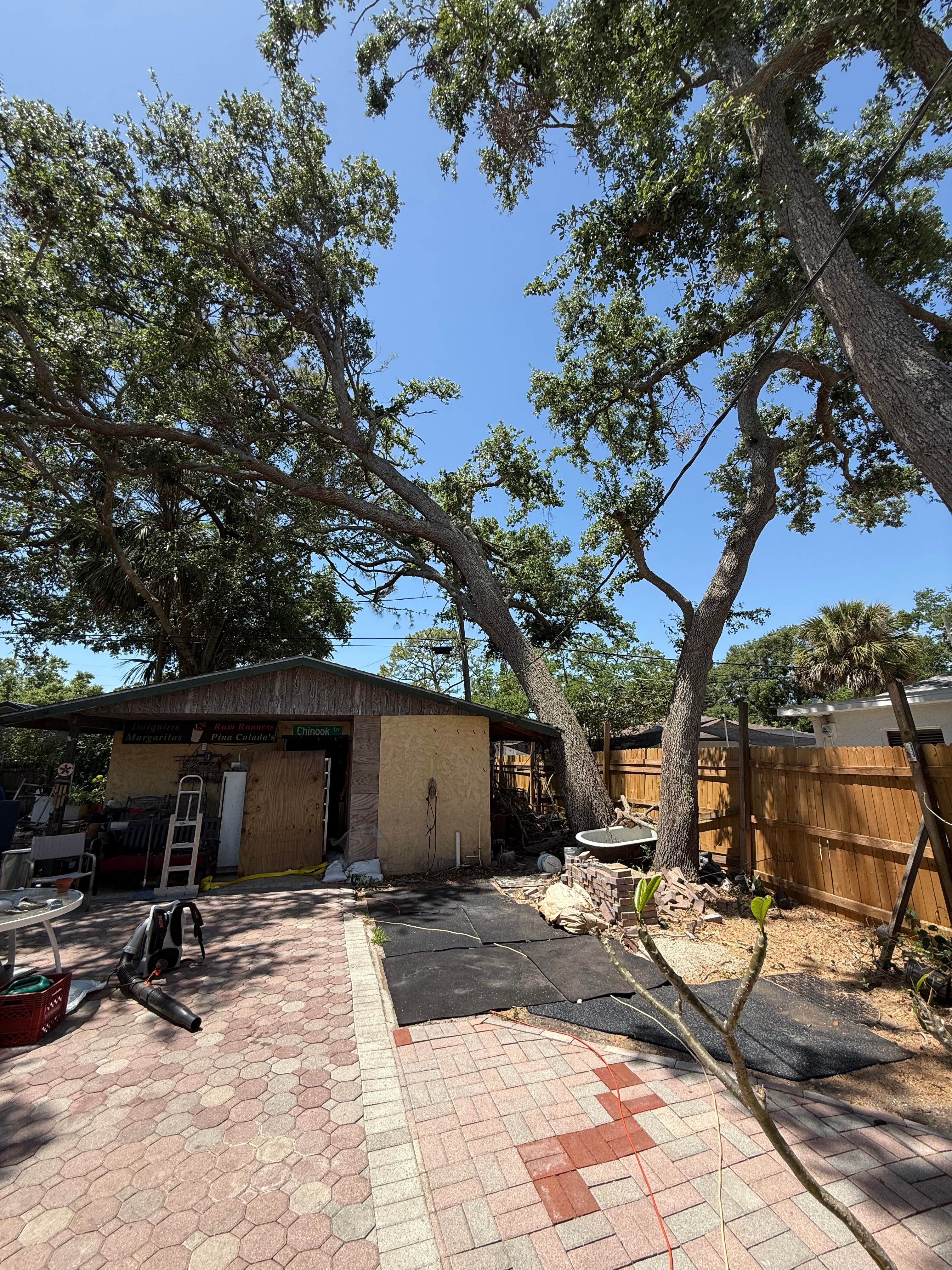  for Damian’s Tree Care in Sarasota, FL