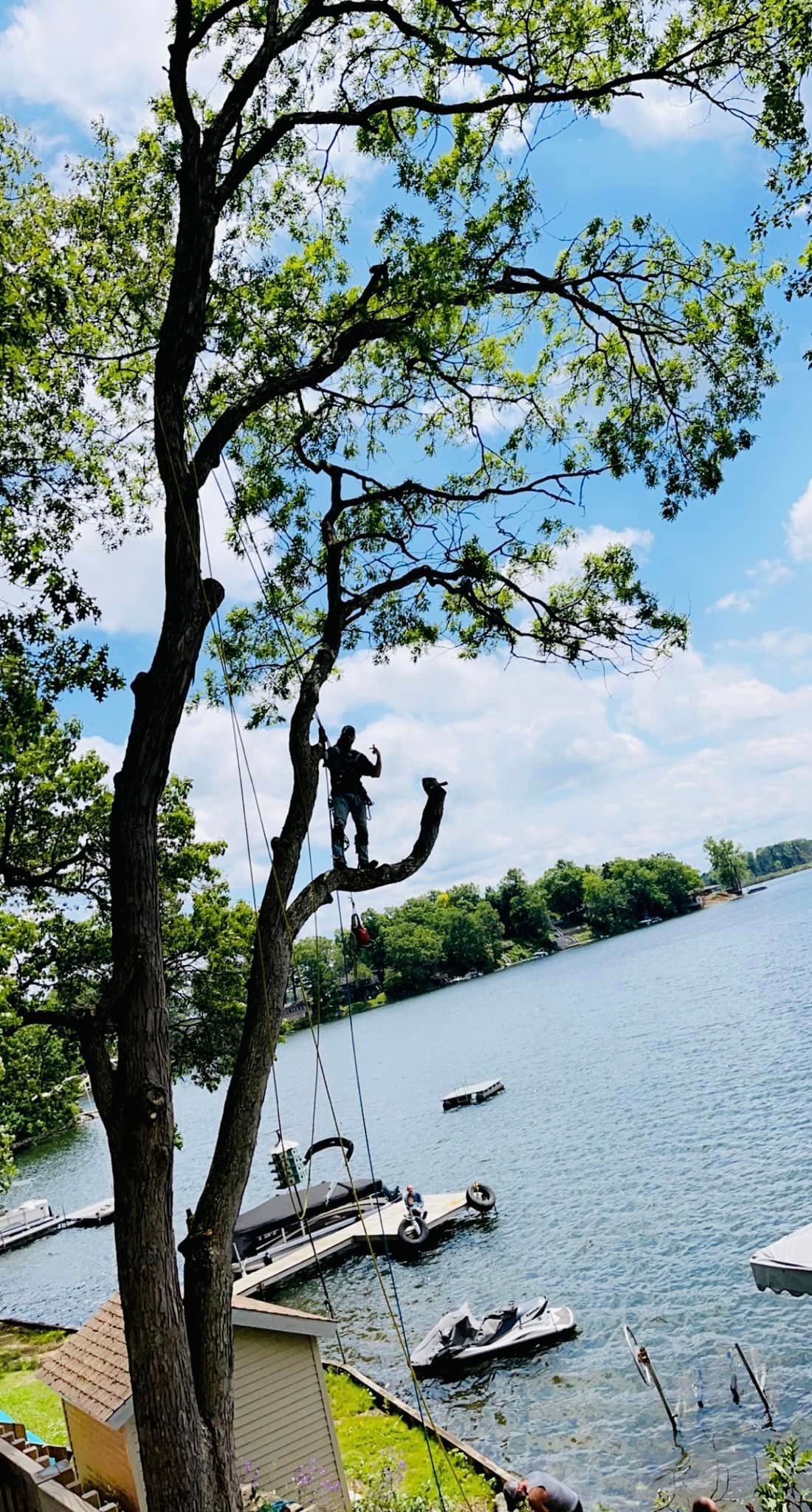  for Branching Out Tree Service in Hastings, MI