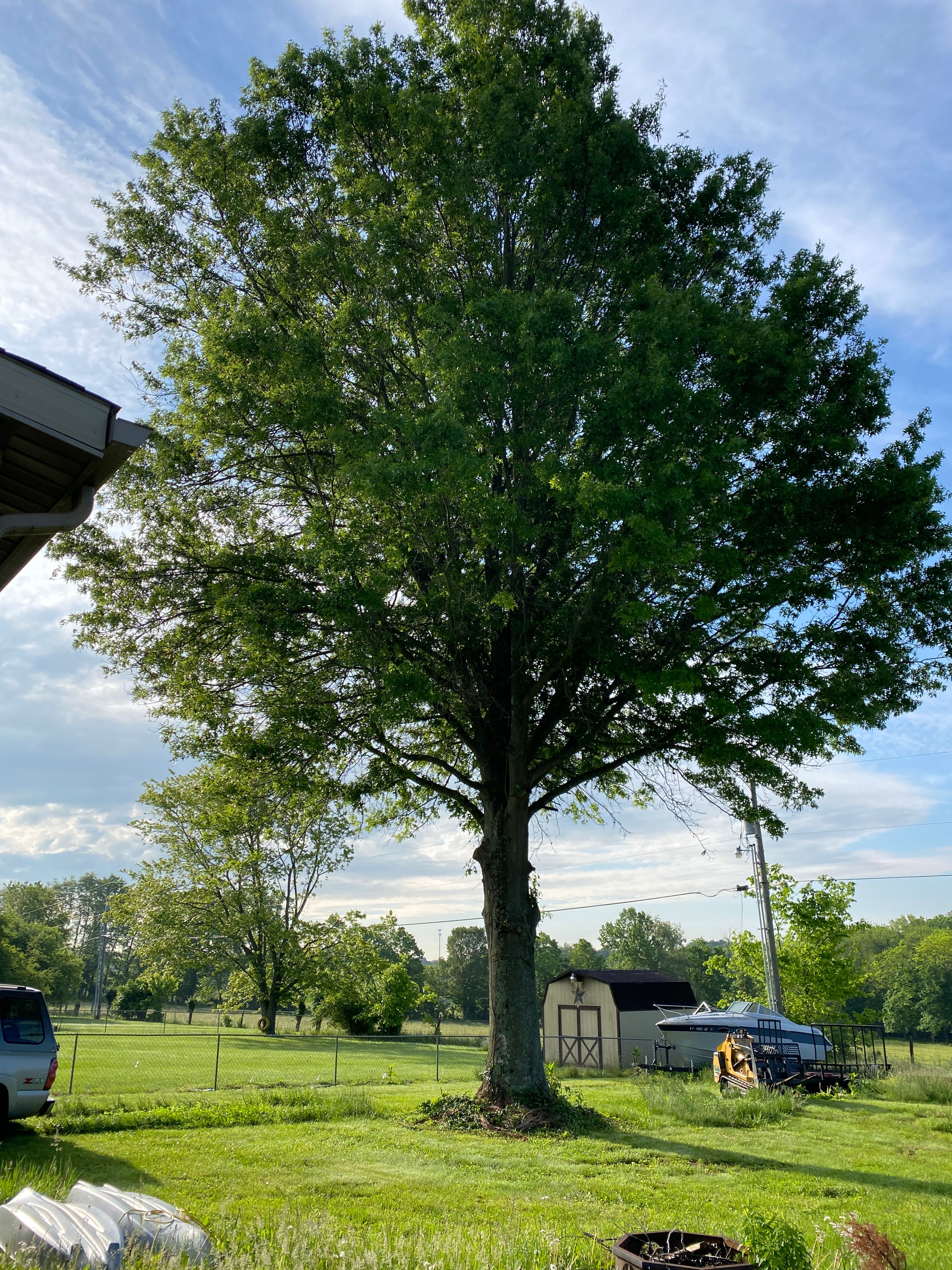 All Photos for Houtz Tree Service in Lexington, KY