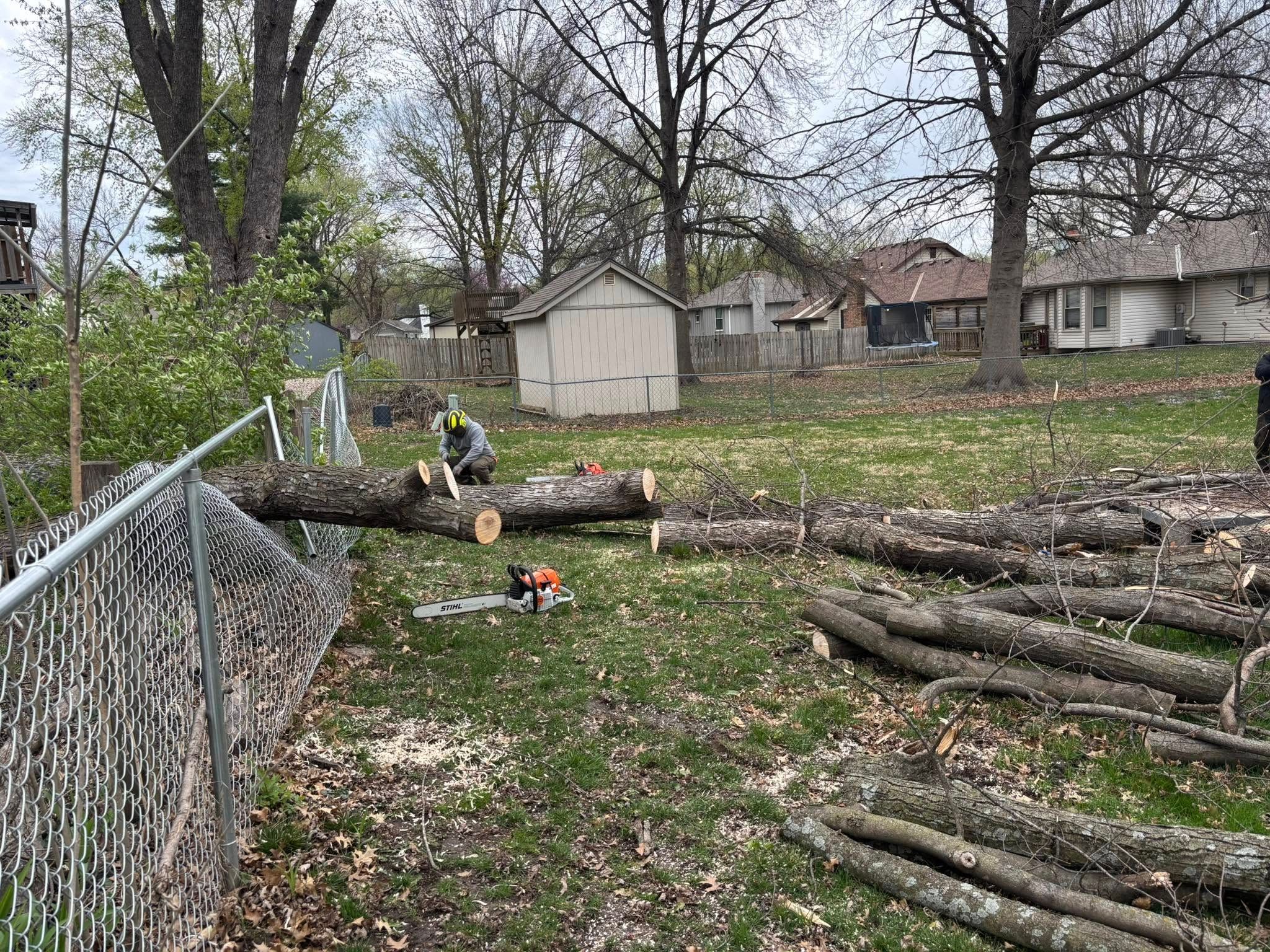 Tree Removal for Cross Family Tree Service in Kearney, MO