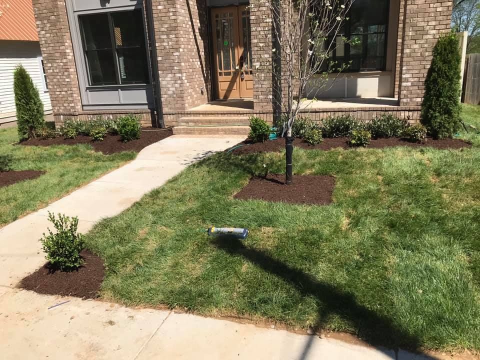  for Grass Management in Nashville, TN