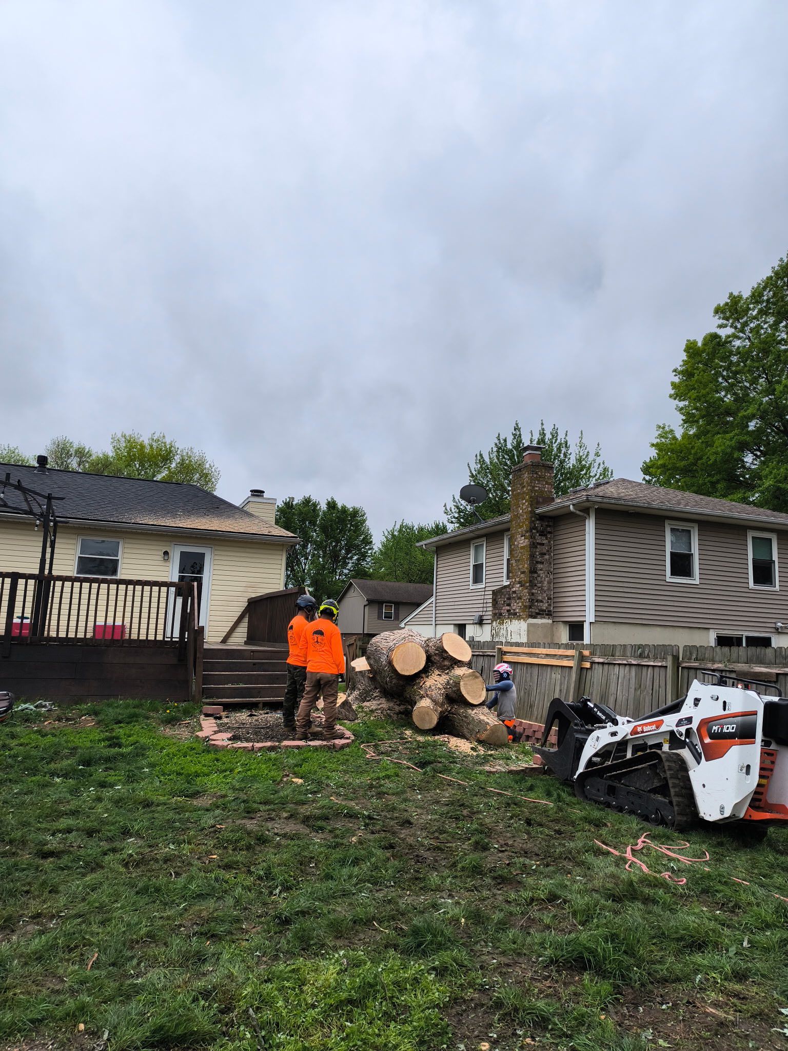 Tree Removal for Cross Family Tree Service in Kearney, MO