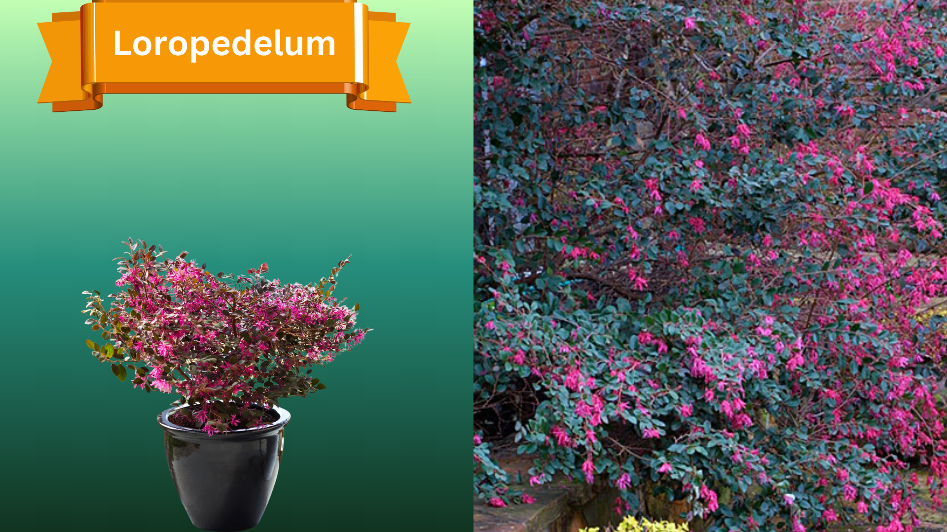  for R.B. & Company in Belleview, FL