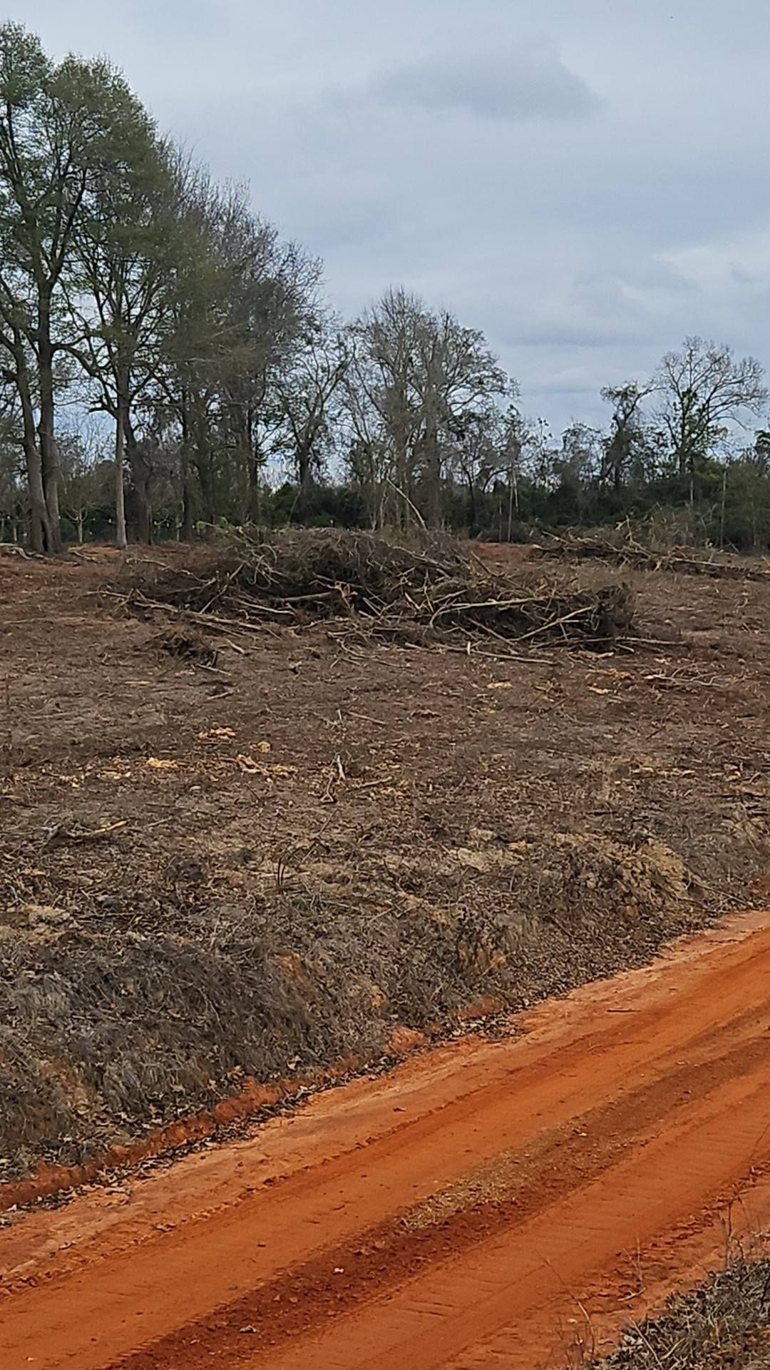  for Boo Septic Tank Service in Montezuma, GA