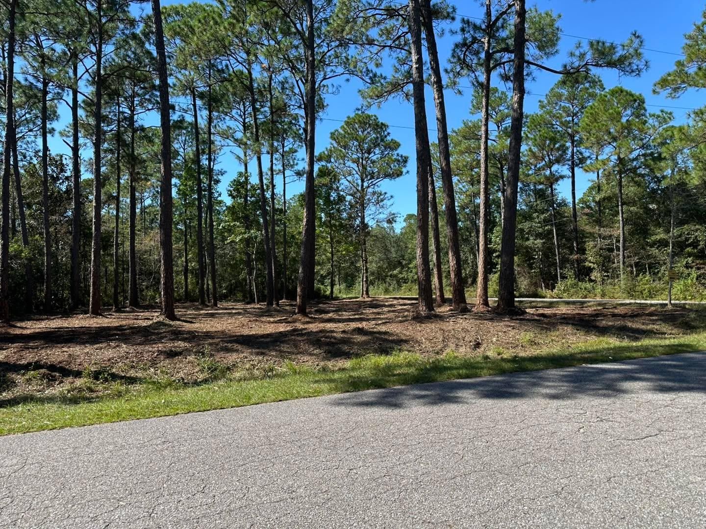  for White’s Land Maintenance in Milton,, FL