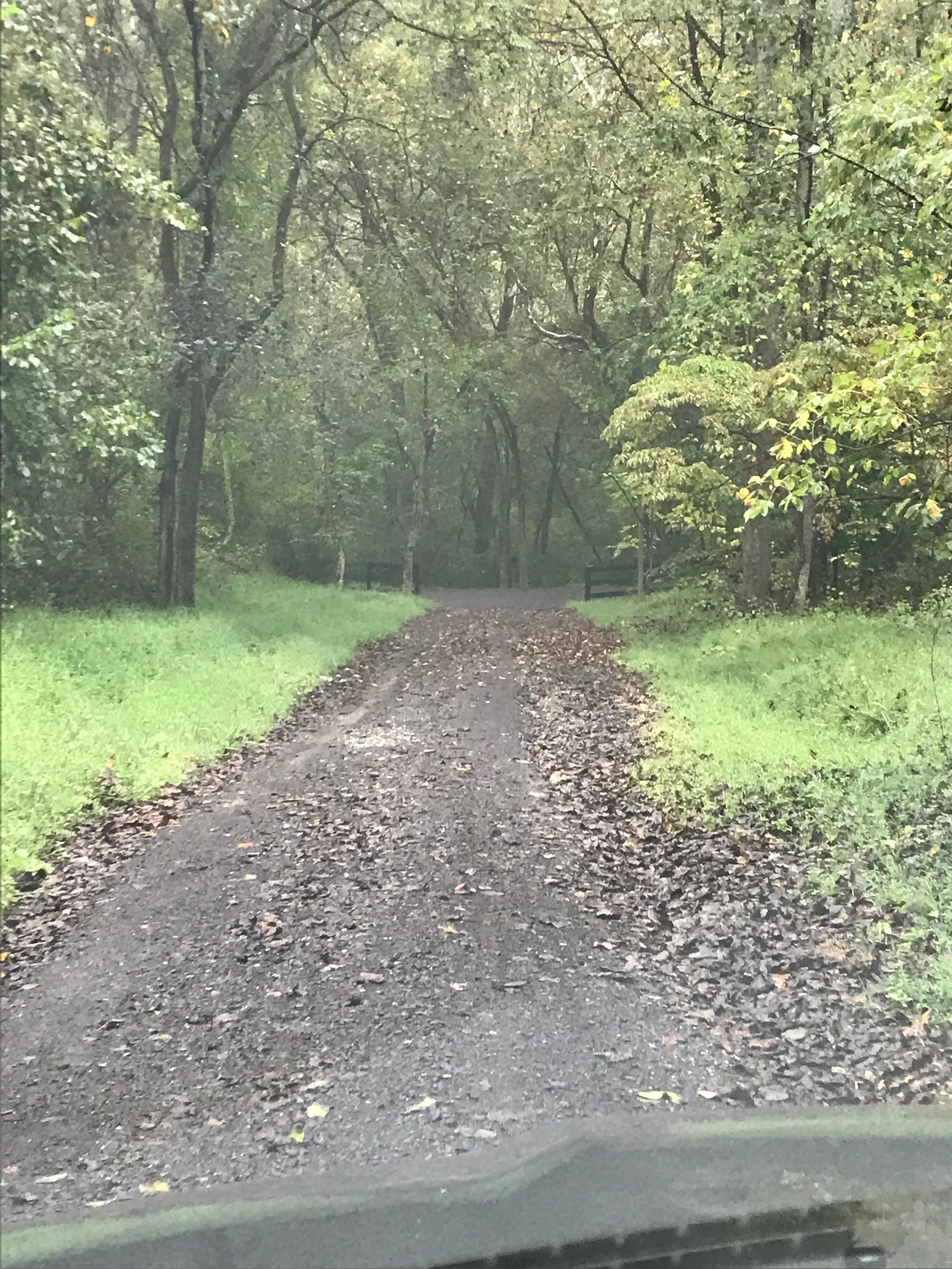  for 9999 Building and Renovation LLC in Warrenton, VA