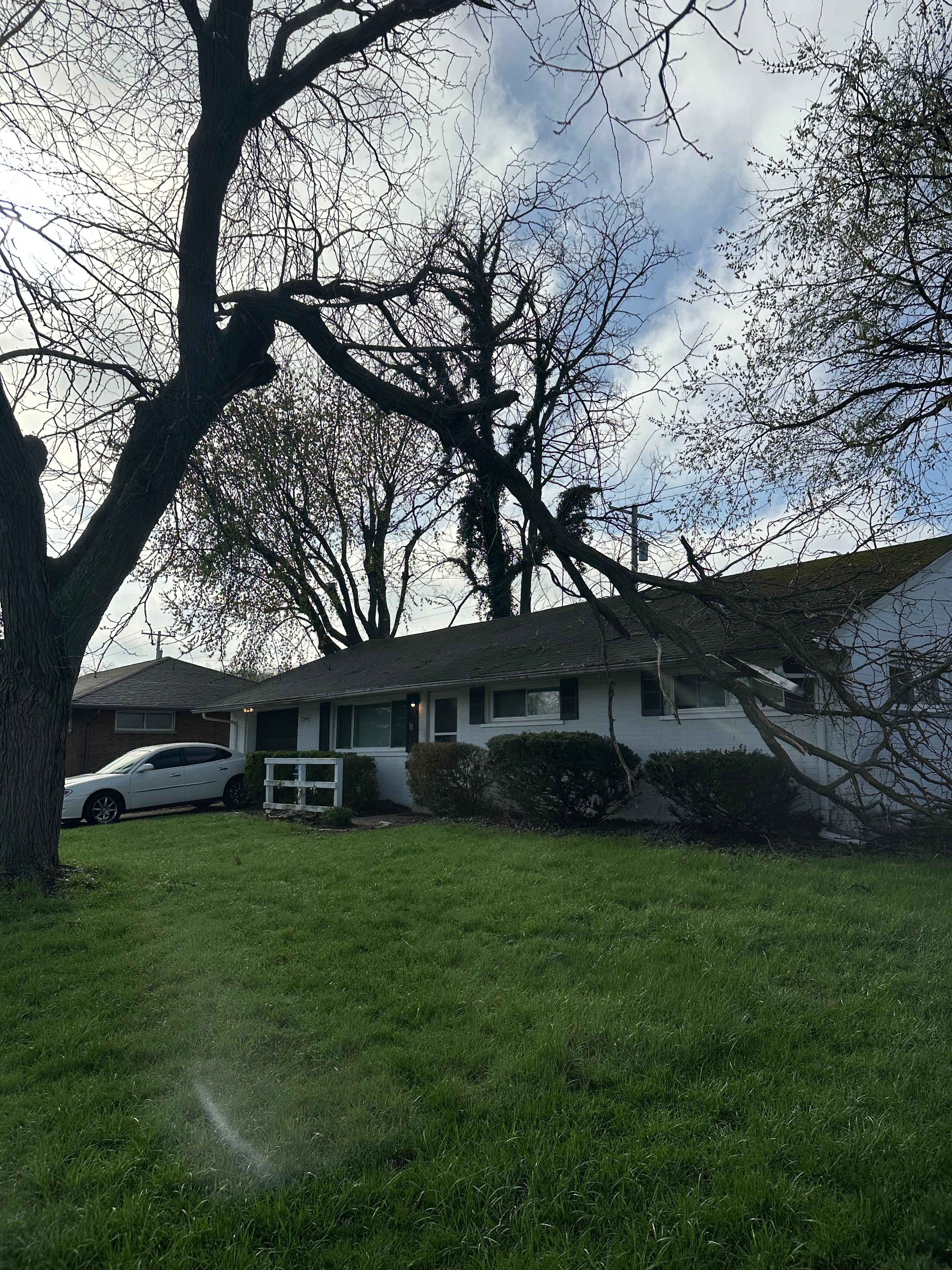 All Photos for Pro Tree Trim & Removal, Llc in Dayton, OH