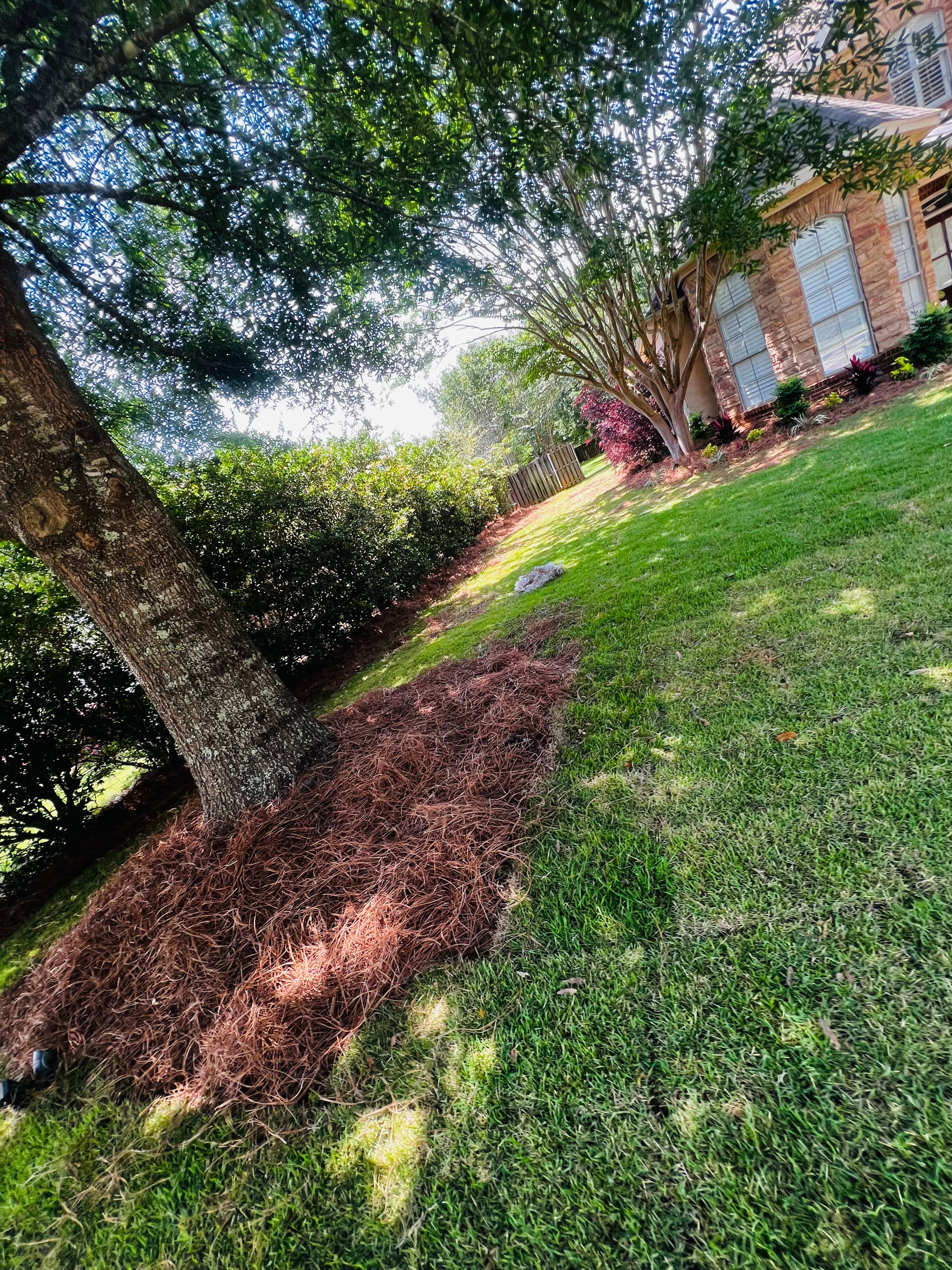  for Enhanced Landscape in Daphne, AL