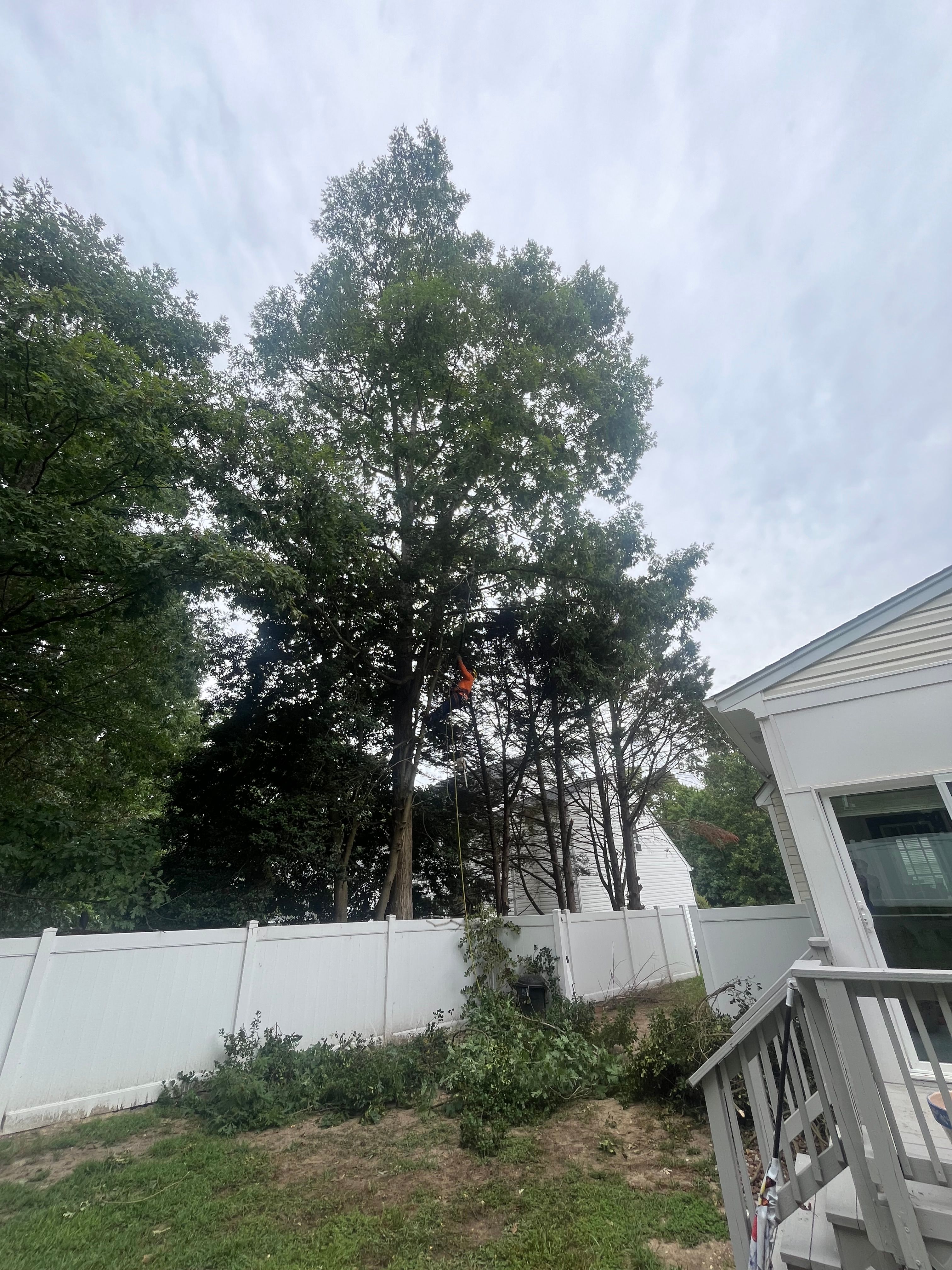  for Ricky's Tree Service & Property Care in Orange, VA