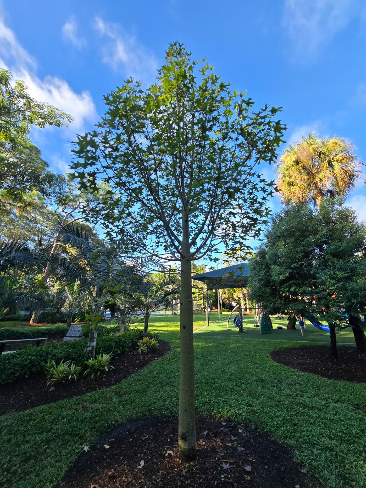  for Bridgewater Arbor Care LLC in Jupiter, FL