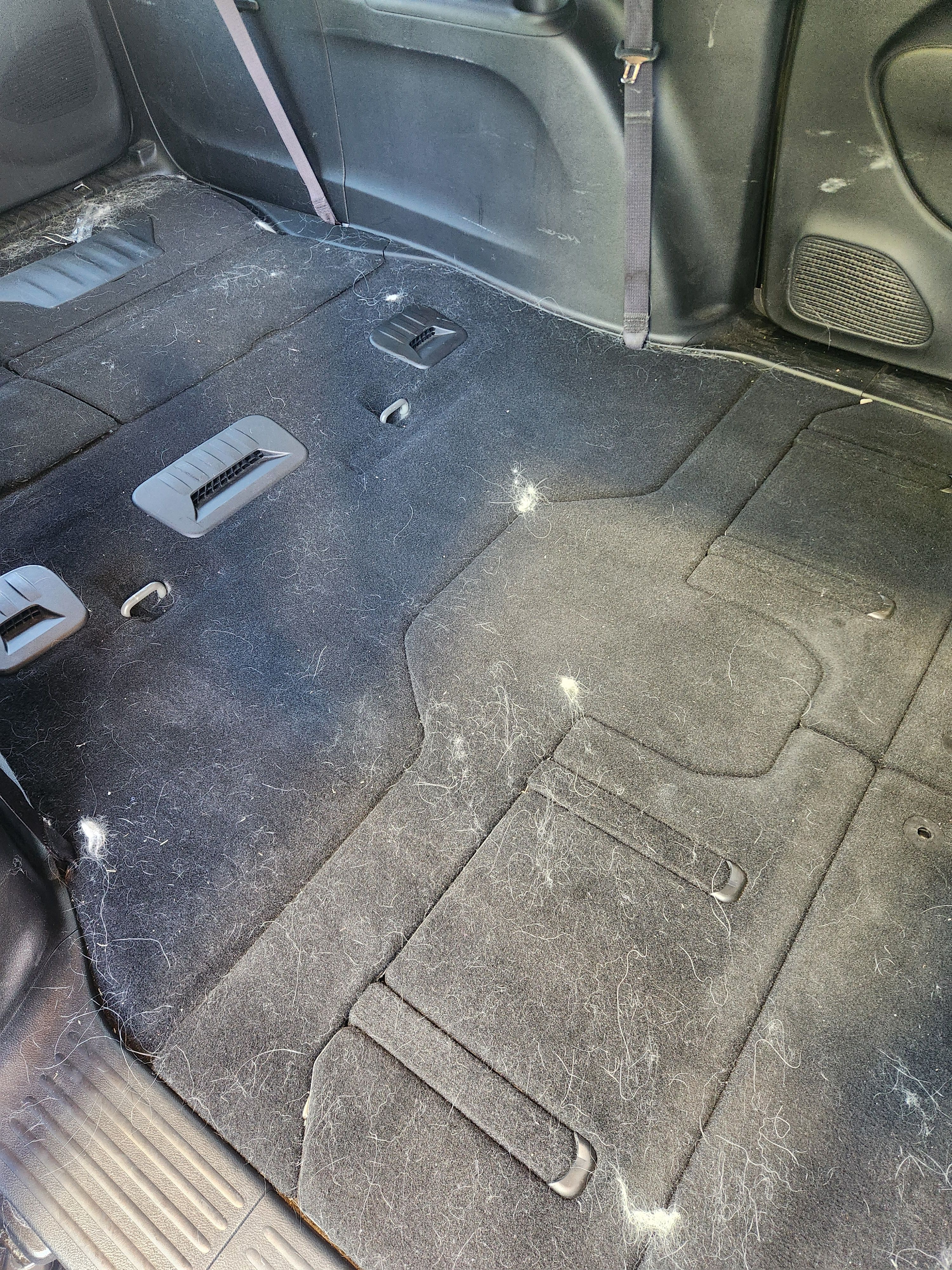  for Powell's Professional Cleaning Services in Midway, FL