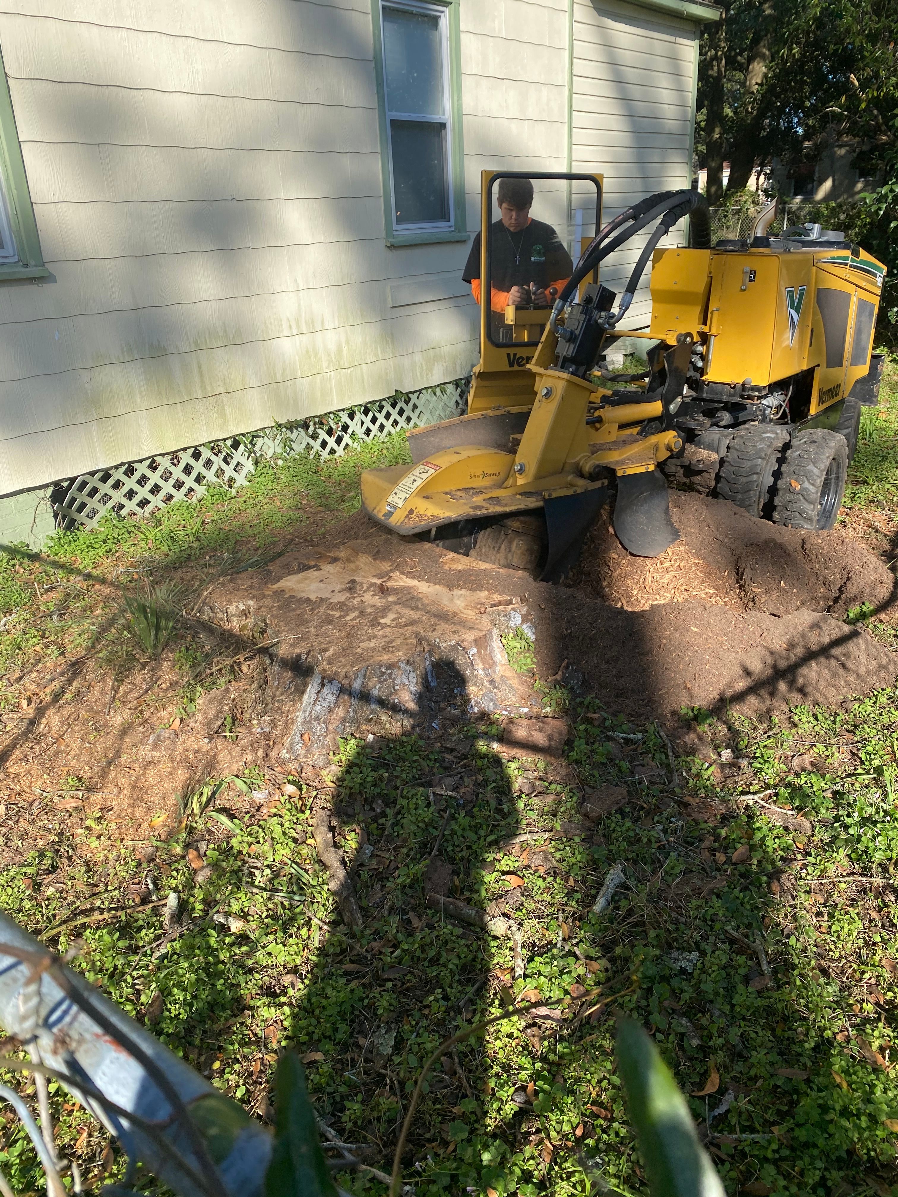  for Elite Tree & Landscape Services LLC in St. Augustine, FL