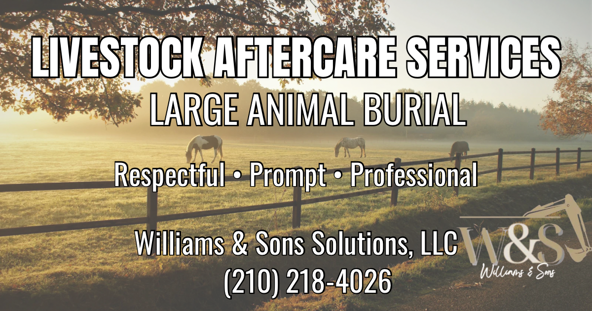  for Williams & Sons Solutions in Floresville, TX