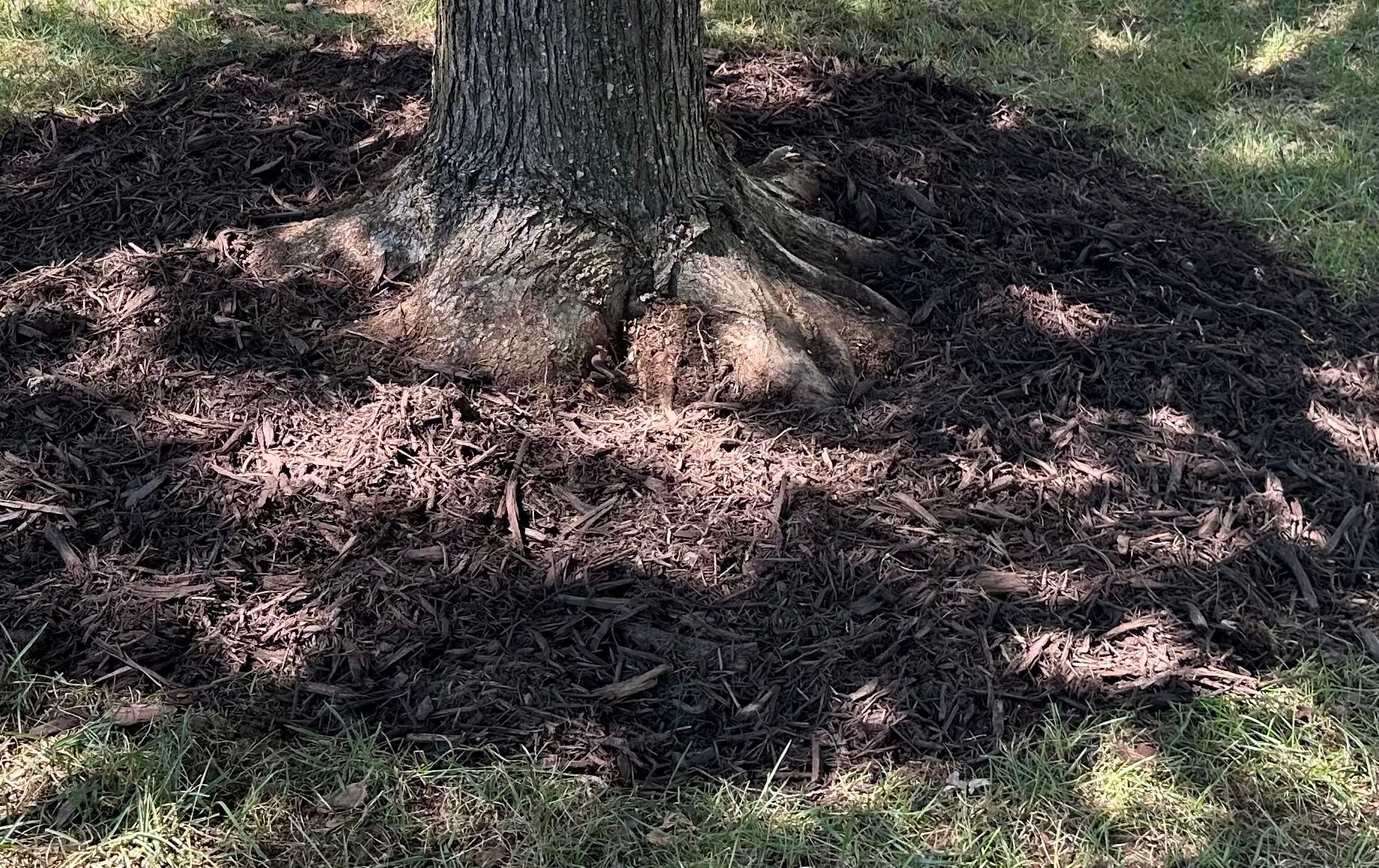  for Upcycled Landscape and Design in Charlotte, NC