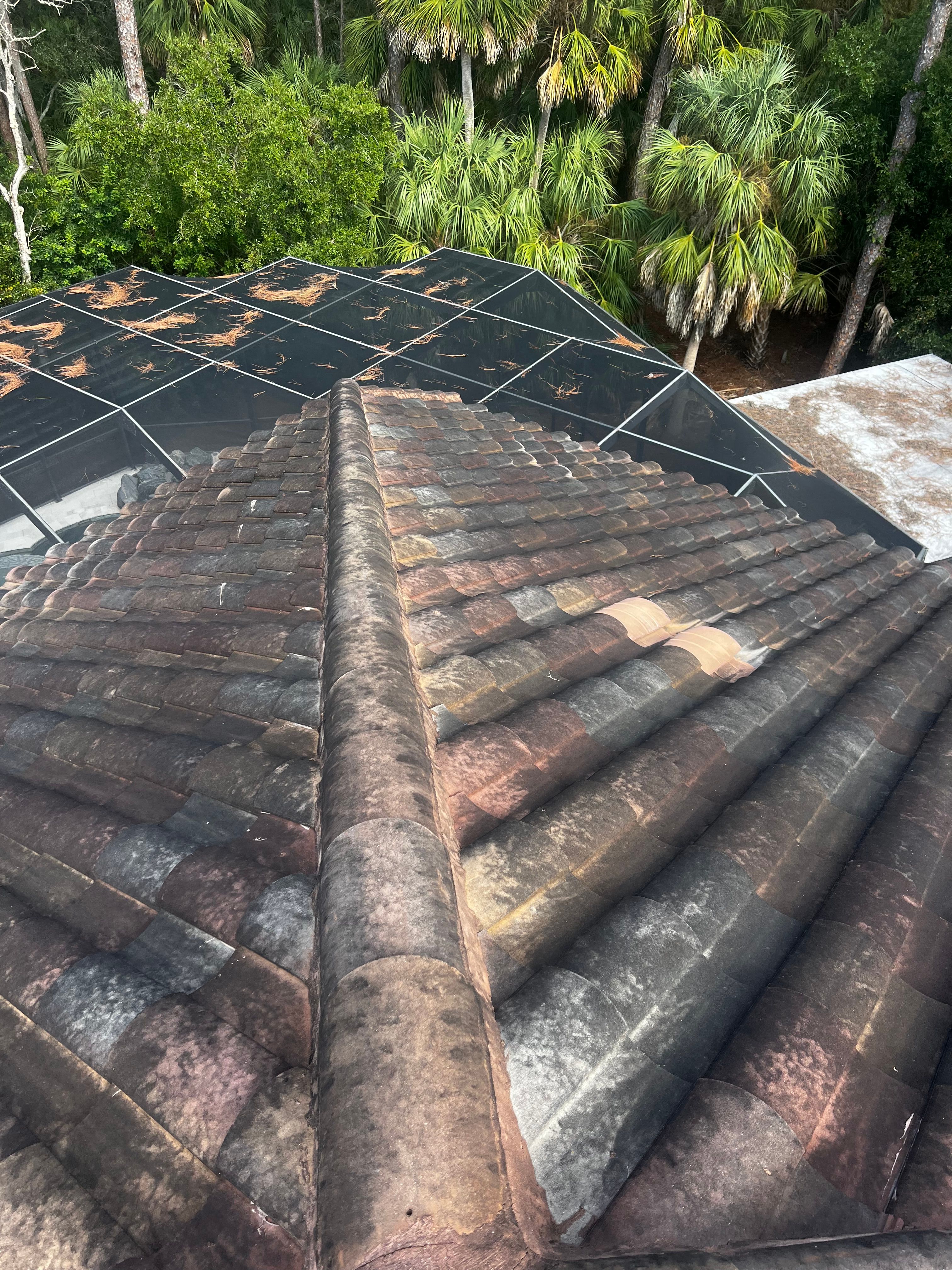  for Barr None Wash Pro in Tampa, FL