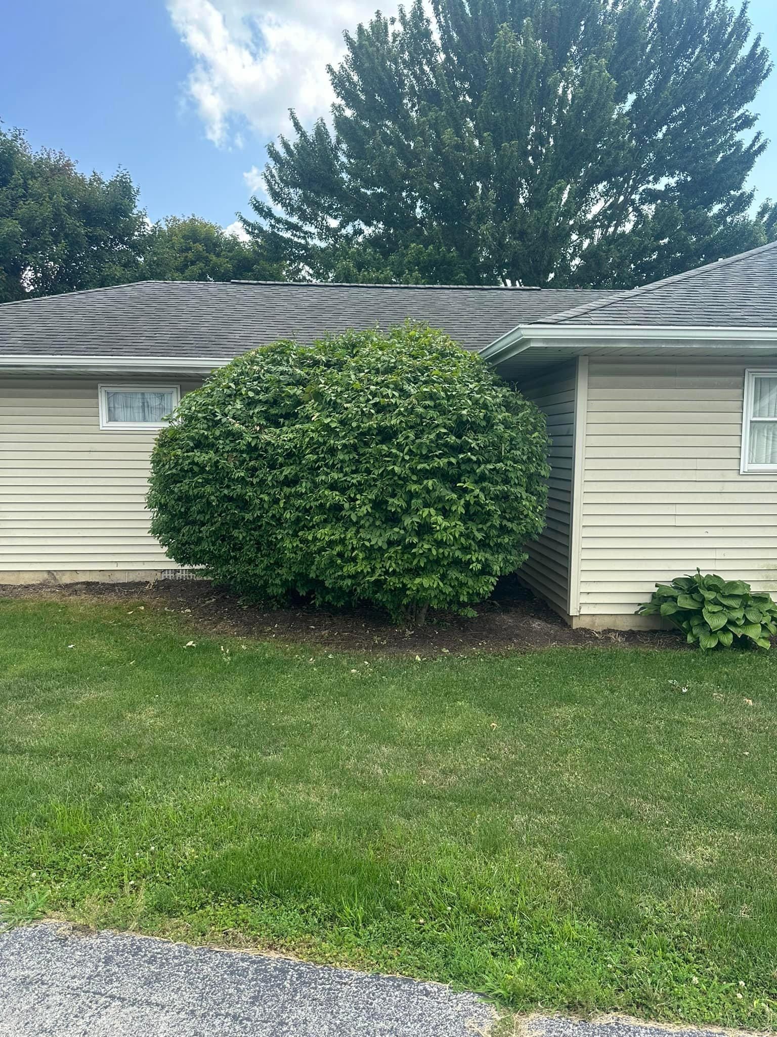  for OT Lawn and Landscaping LLC in Carey, OH