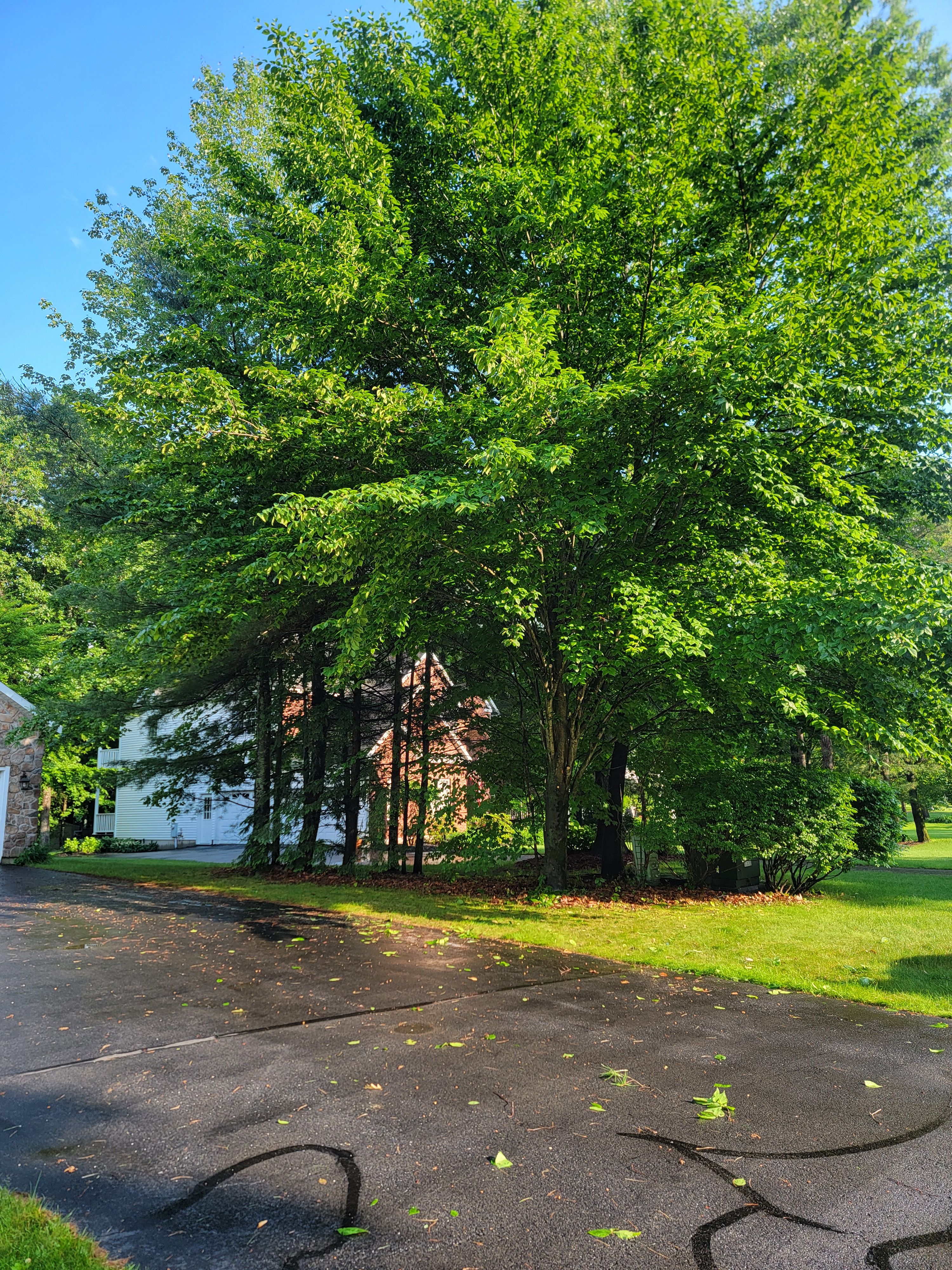  for Sweet Scapes in Ballston Spa, NY
