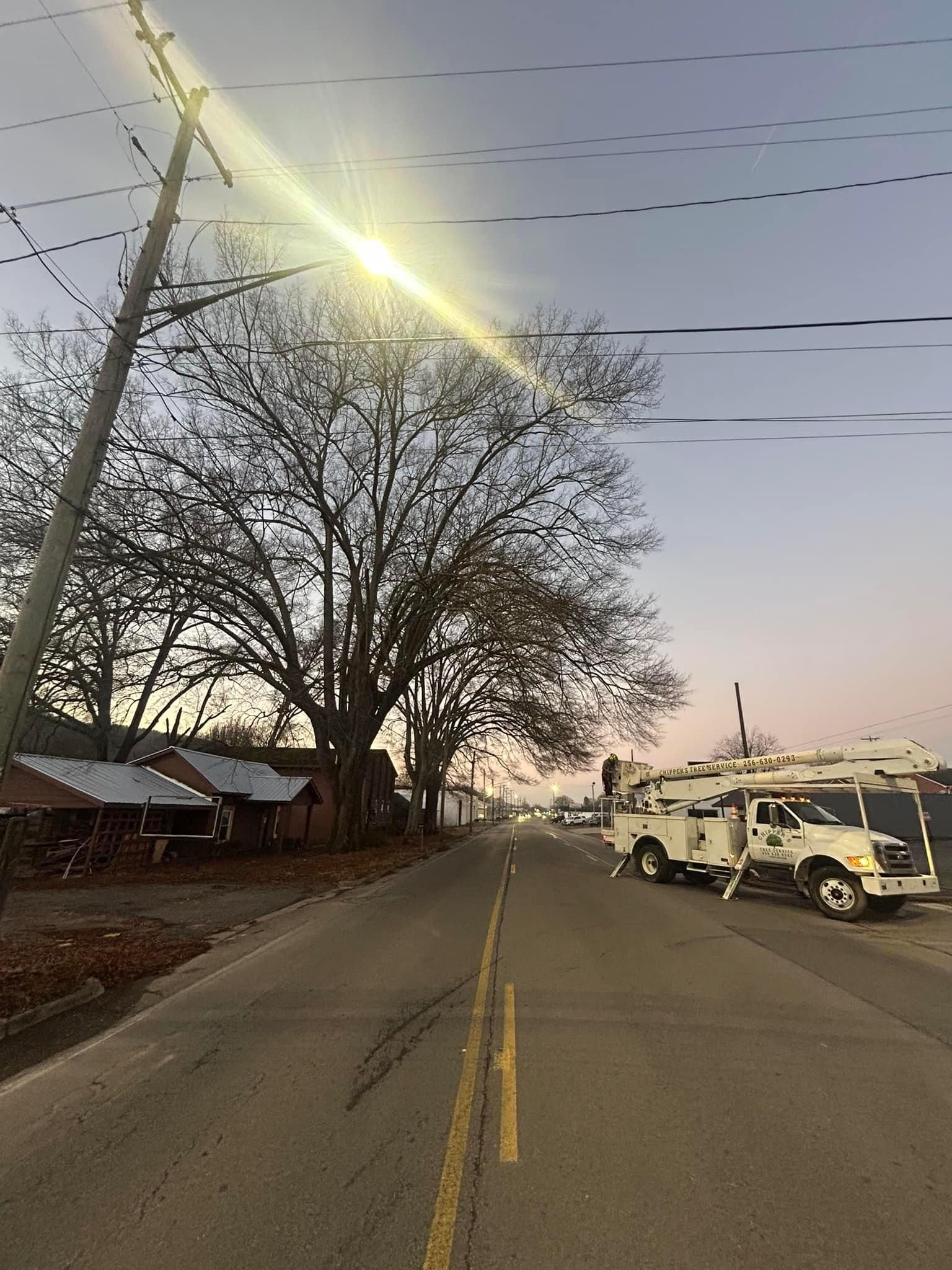  for Chipper's Tree Service  in Fort Payne, AL