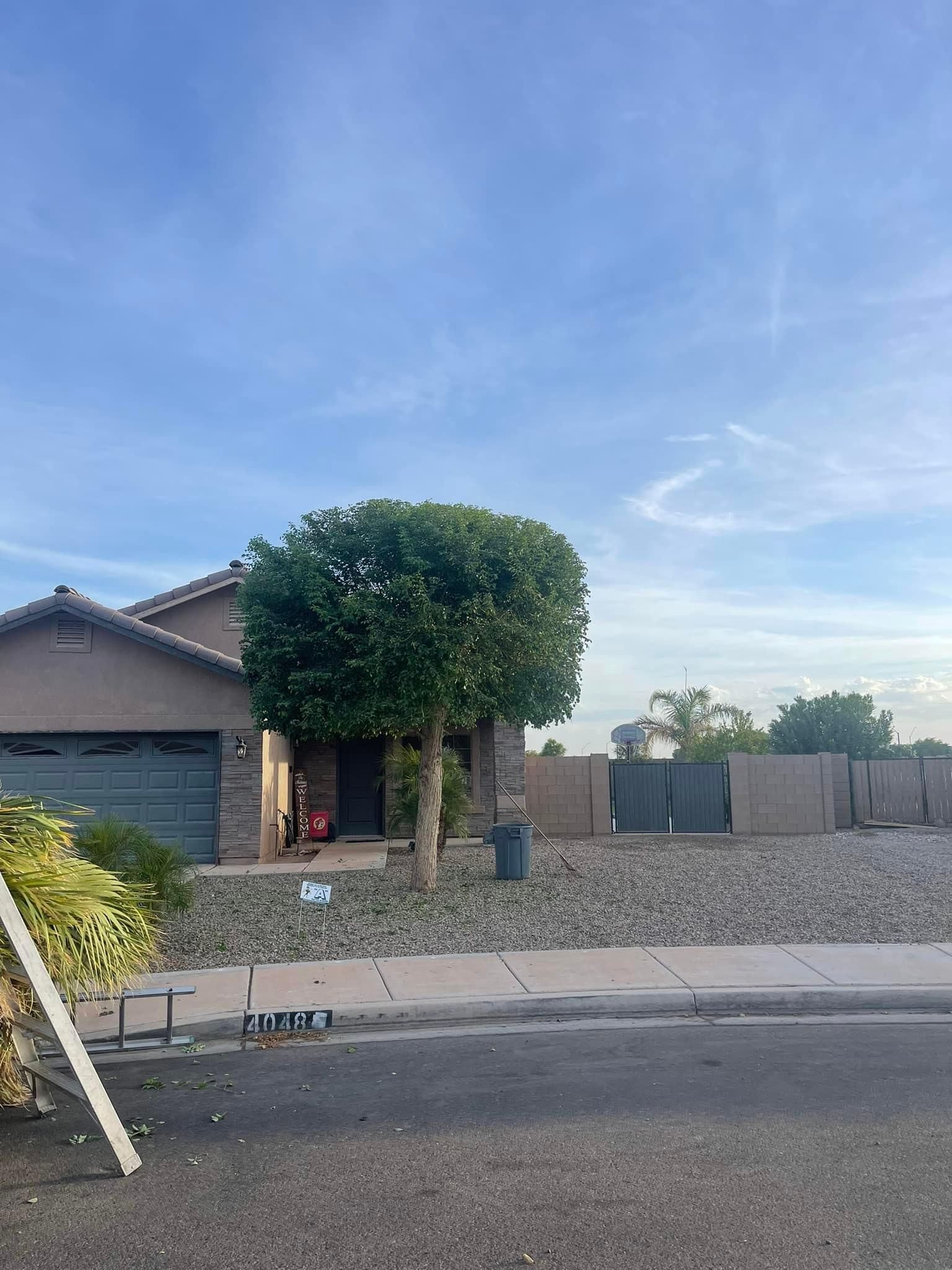  for Oliver L. Palm & Tree services in Yuma County, AZ