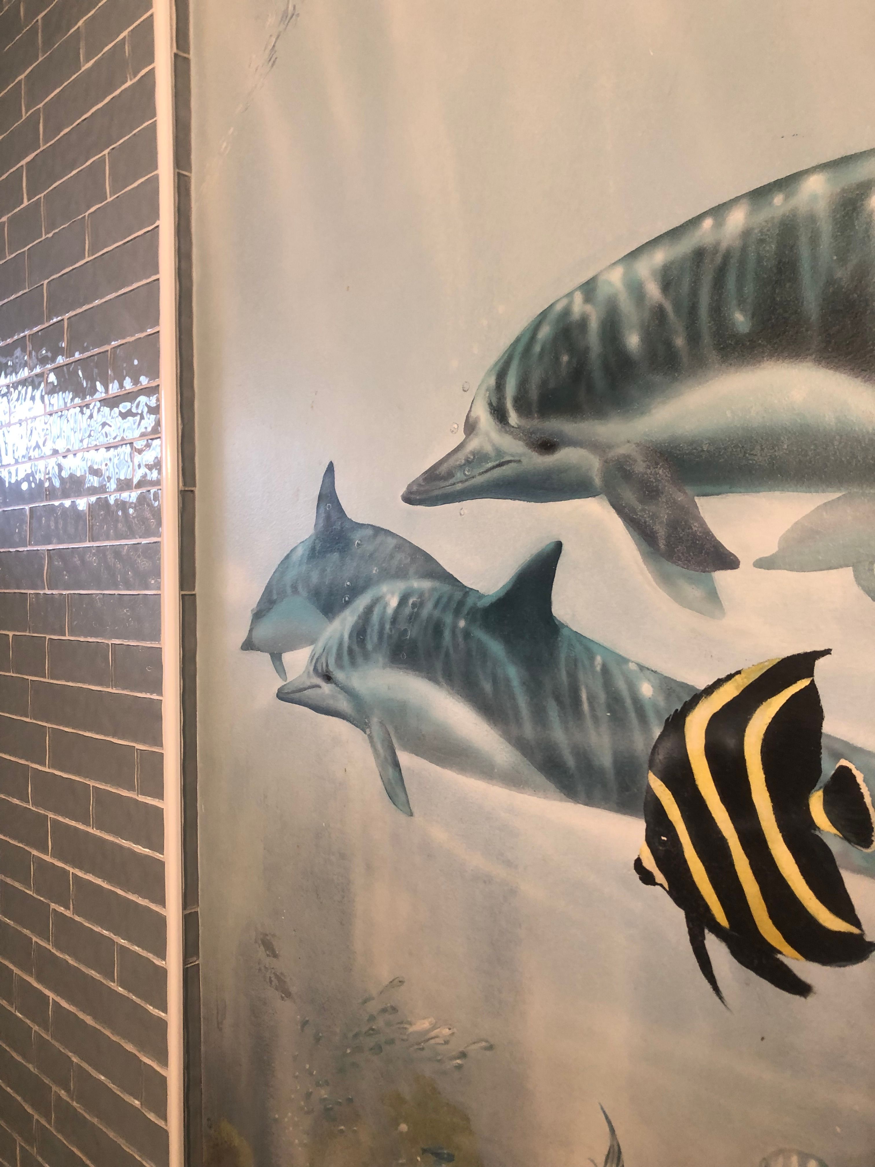 All Photos for Chameleon Tile in Torrance, CA