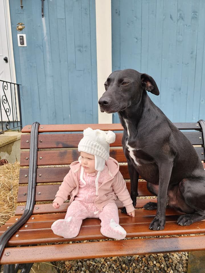  for The Hammer Man Can in Alton, NH