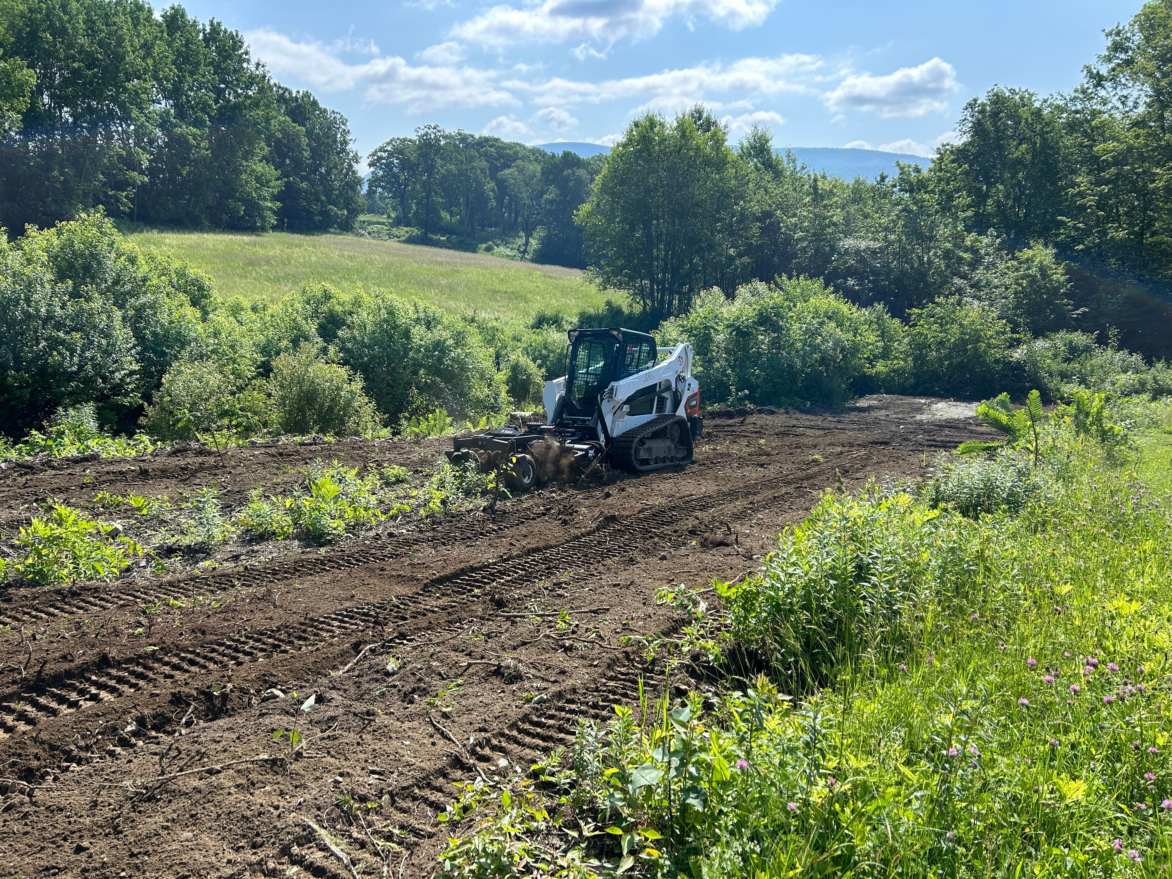  for Jack Of All Blades in Windsor County, VT