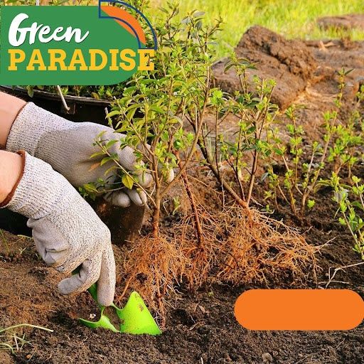  for Genluma Services Lawn Care in Vancouver, WA