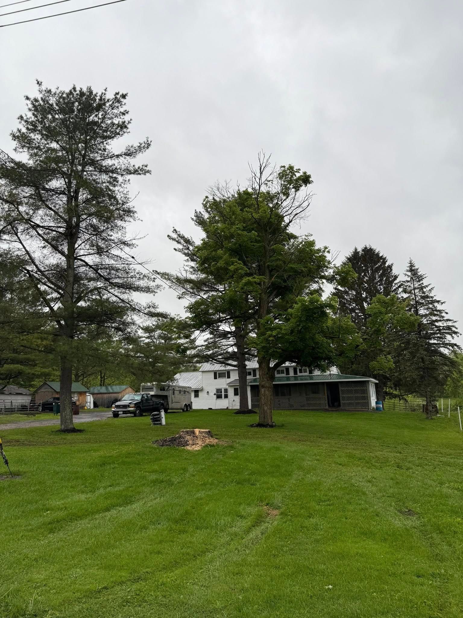 All Photos for Sterlings Tree Removal in Cobleskill, New York